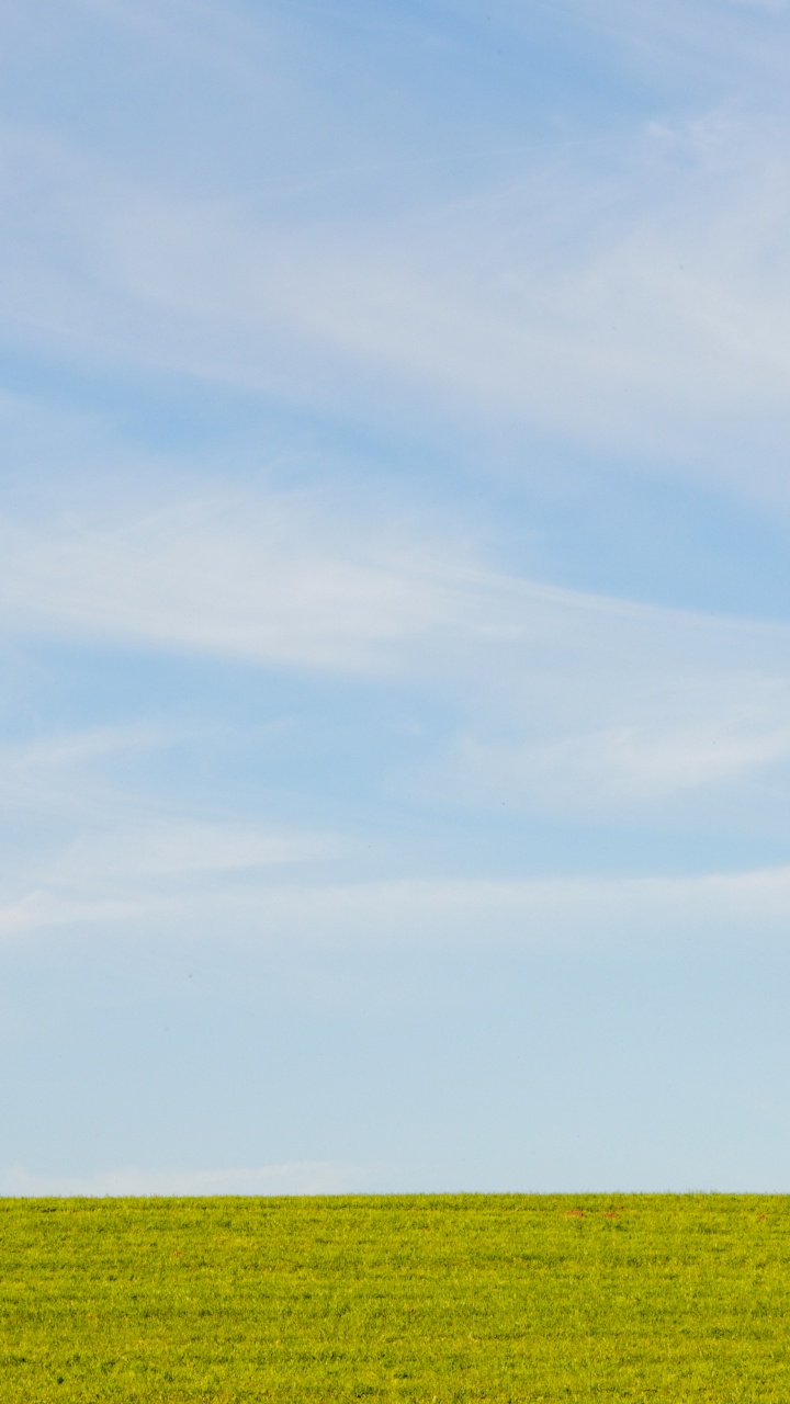 Plain, Crop, Cumulus, Sky, Blue. Wallpaper in 720x1280 Resolution