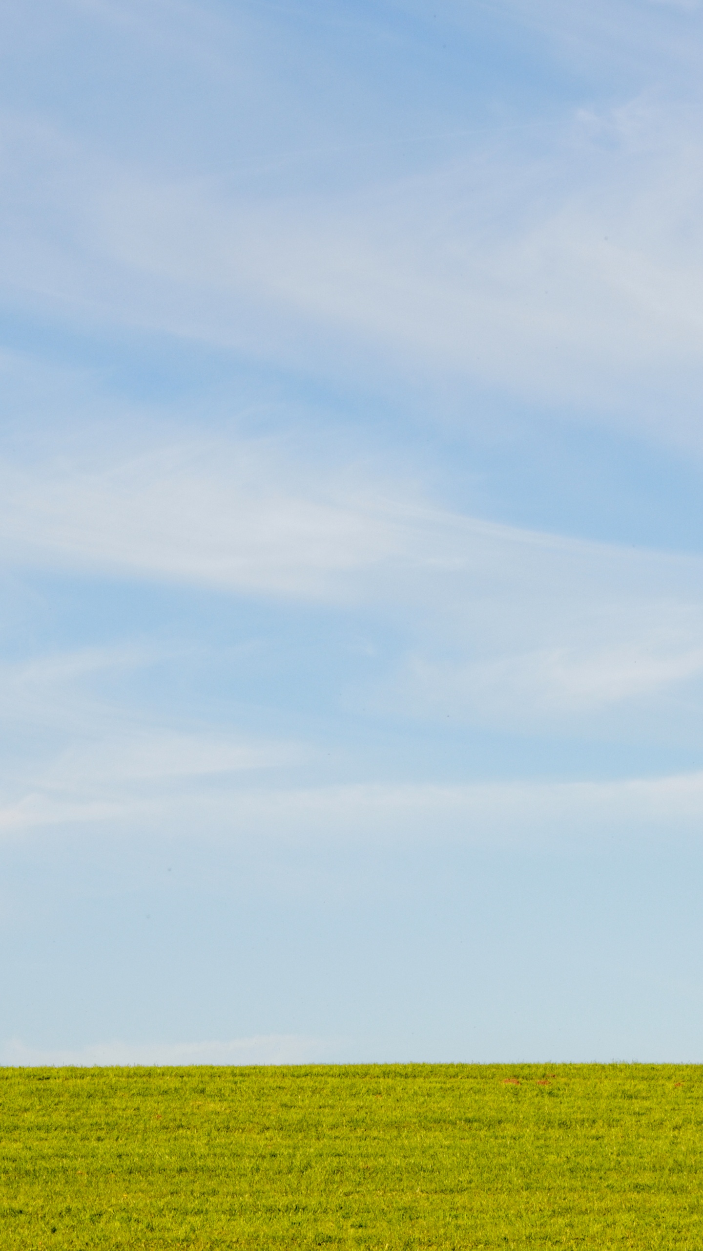 普通的, 农作物, 积云, 天空, 绿色的 壁纸 1440x2560 允许