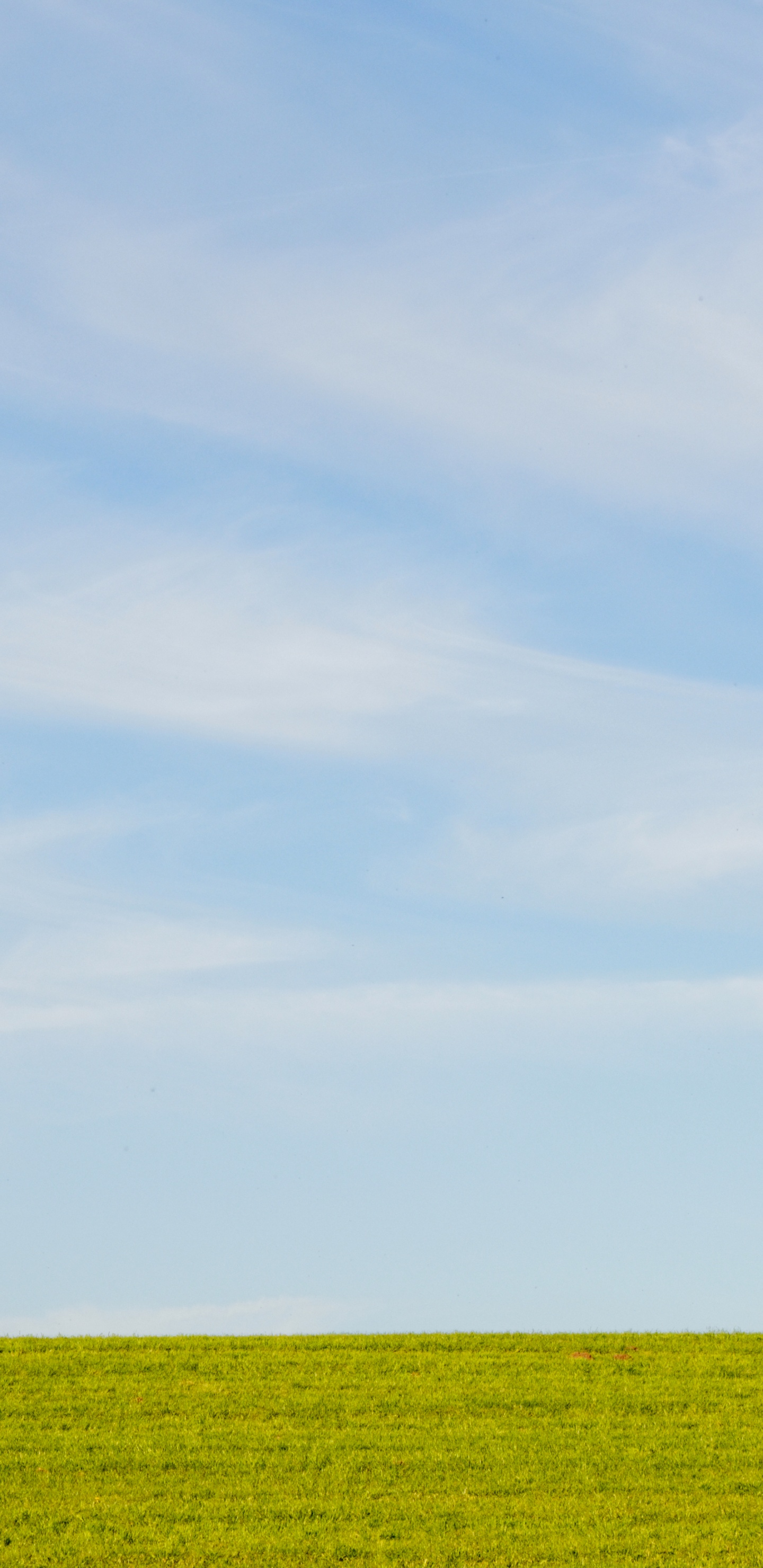 普通的, 农作物, 积云, 天空, 绿色的 壁纸 1440x2960 允许