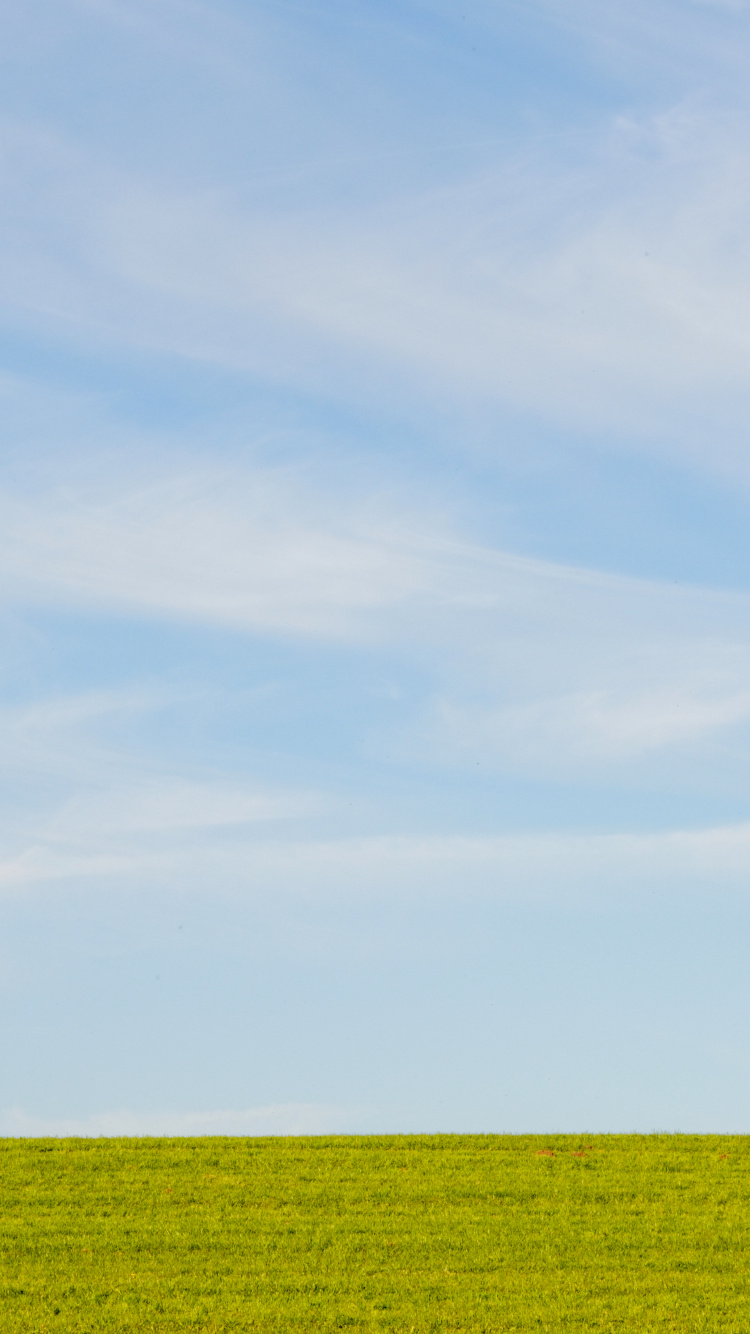 普通的, 农作物, 积云, 天空, 绿色的 壁纸 750x1334 允许