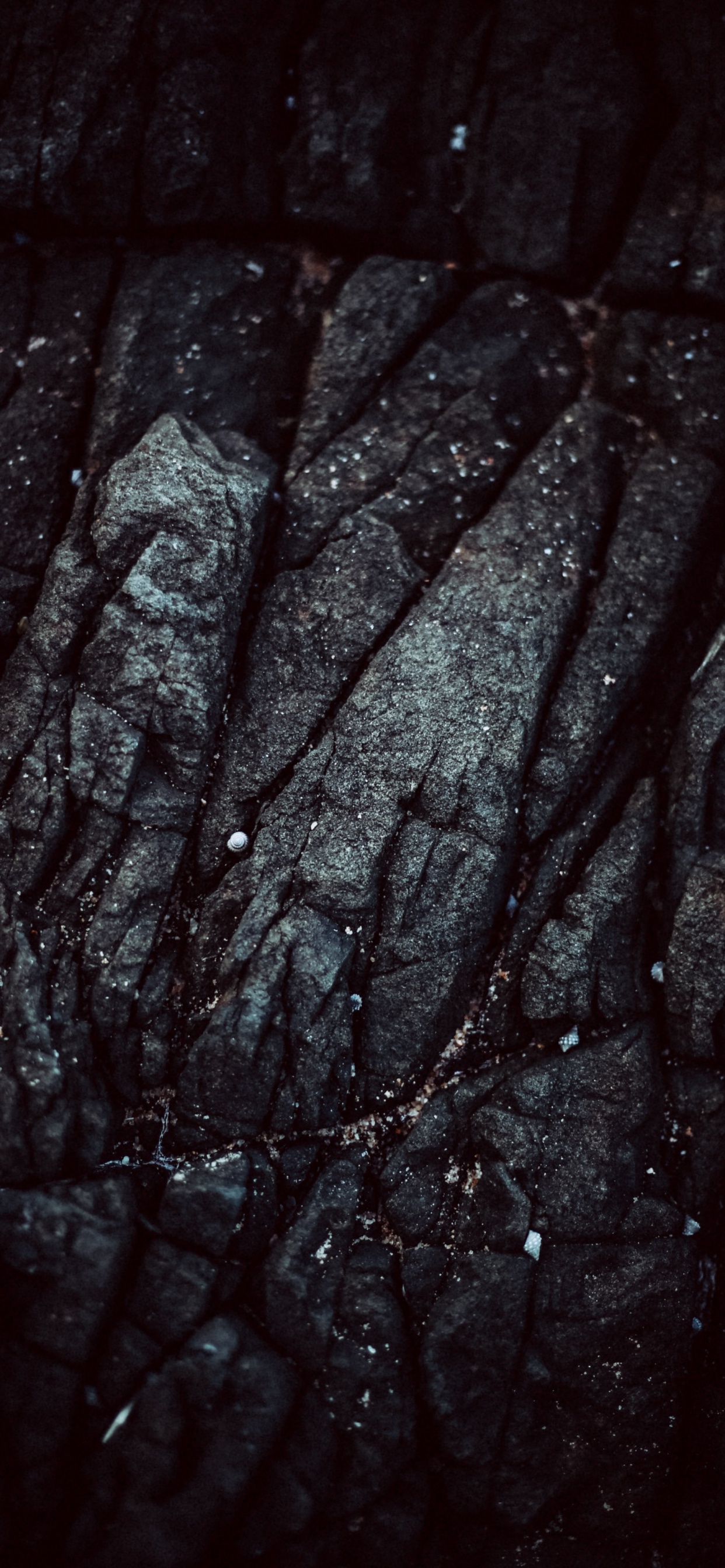 Black and Gray Textile in Close up Photography. Wallpaper in 1242x2688 Resolution