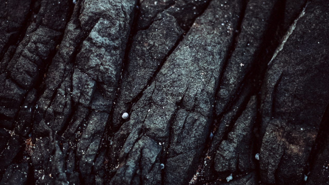 Black and Gray Textile in Close up Photography. Wallpaper in 1280x720 Resolution