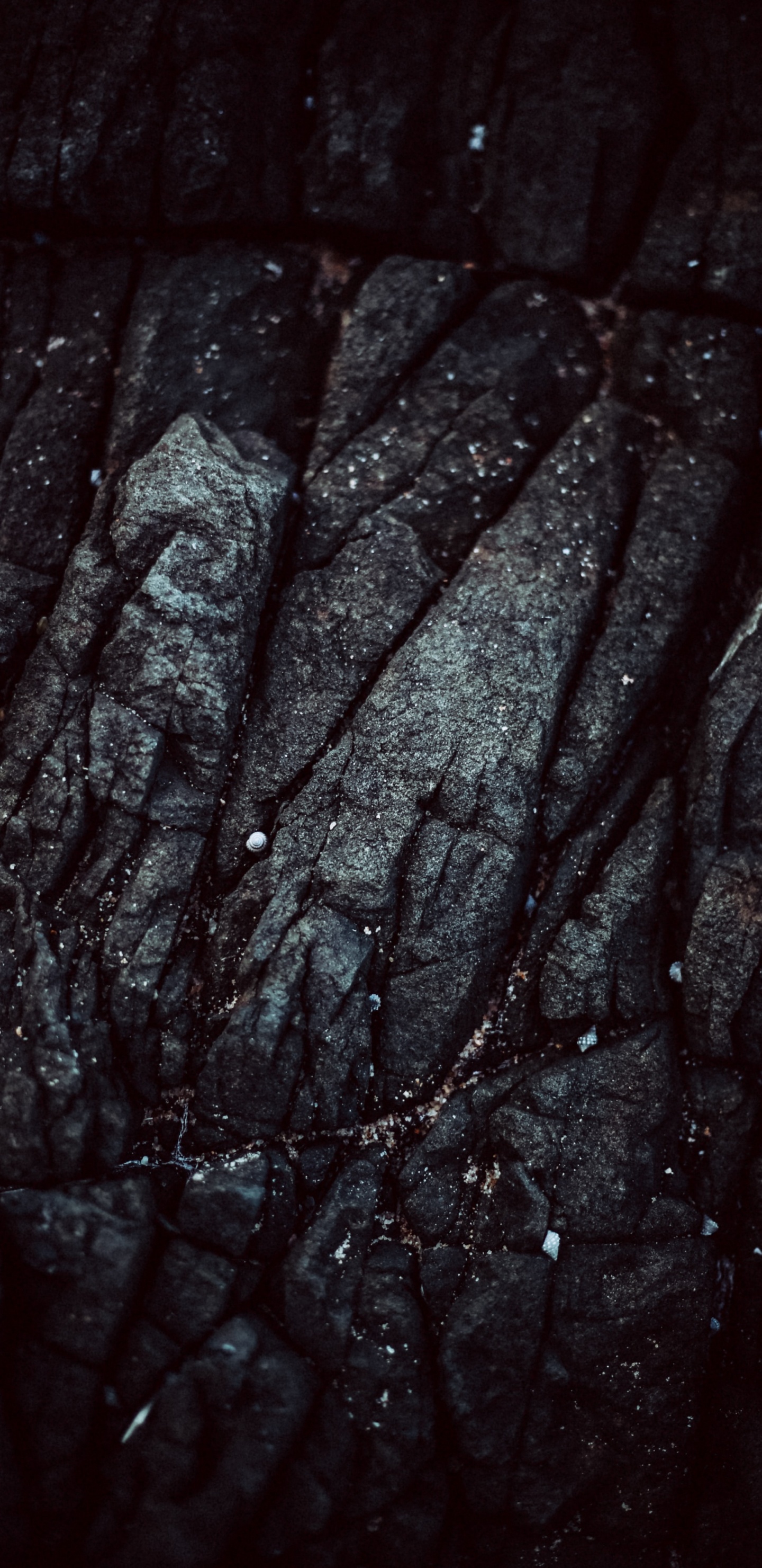 Black and Gray Textile in Close up Photography. Wallpaper in 1440x2960 Resolution
