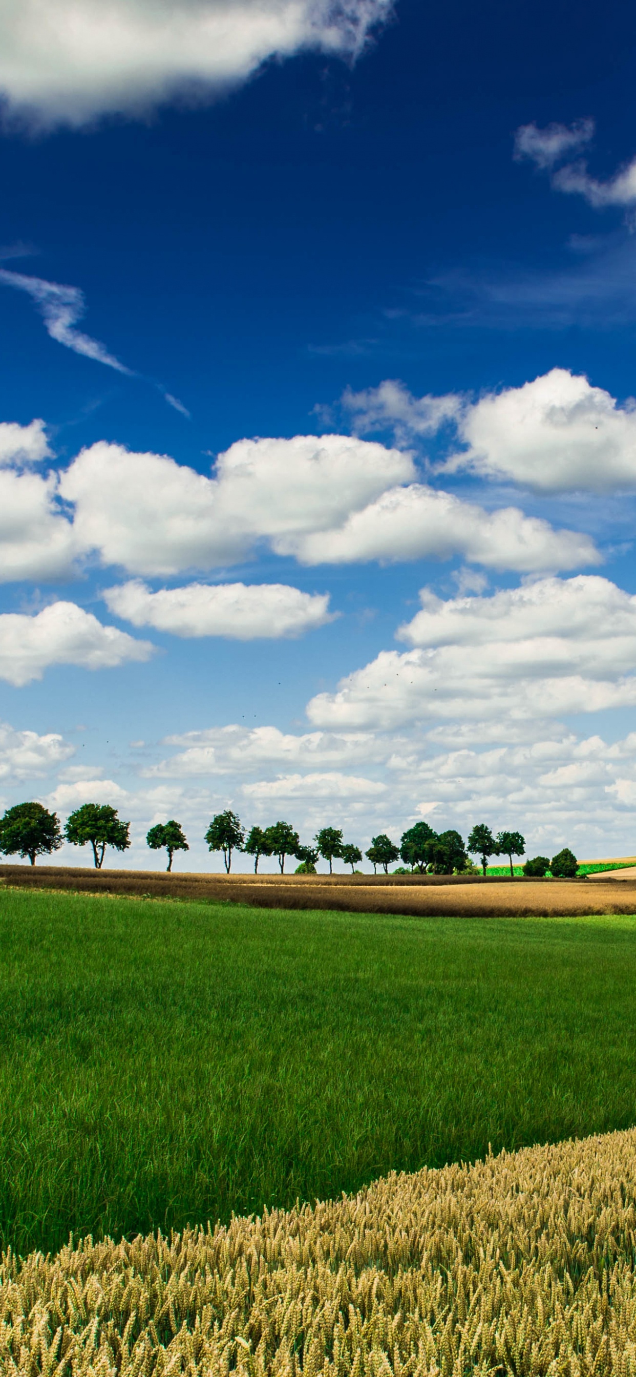 Green Grass Field Under Blue Sky and White Clouds During Daytime. Wallpaper in 1242x2688 Resolution