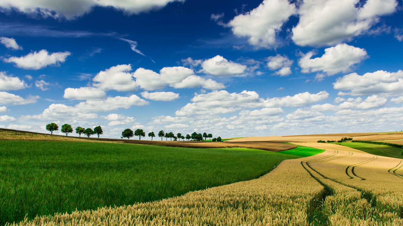 Champ D'herbe Verte Sous Ciel Bleu et Nuages Blancs Pendant la Journée. Wallpaper in 1366x768 Resolution