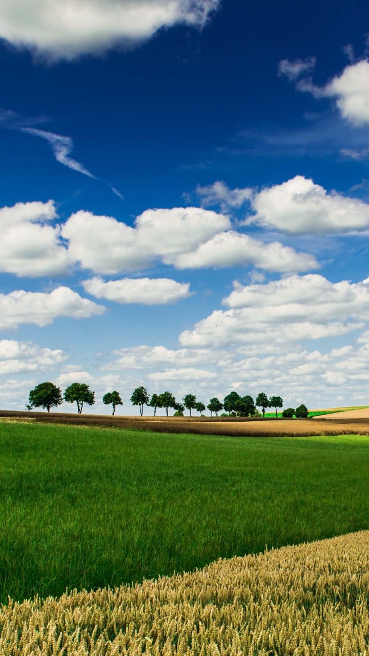 Champ D'herbe Verte Sous Ciel Bleu et Nuages Blancs Pendant la Journée. Wallpaper in 720x1280 Resolution
