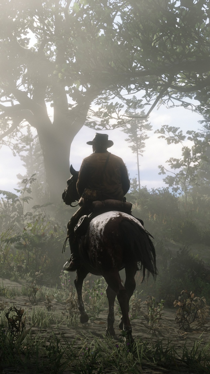 Red Dead Redemption 2, Red Dead Redemption, Red Dead En Ligne, Rockstar Games, Bride. Wallpaper in 720x1280 Resolution