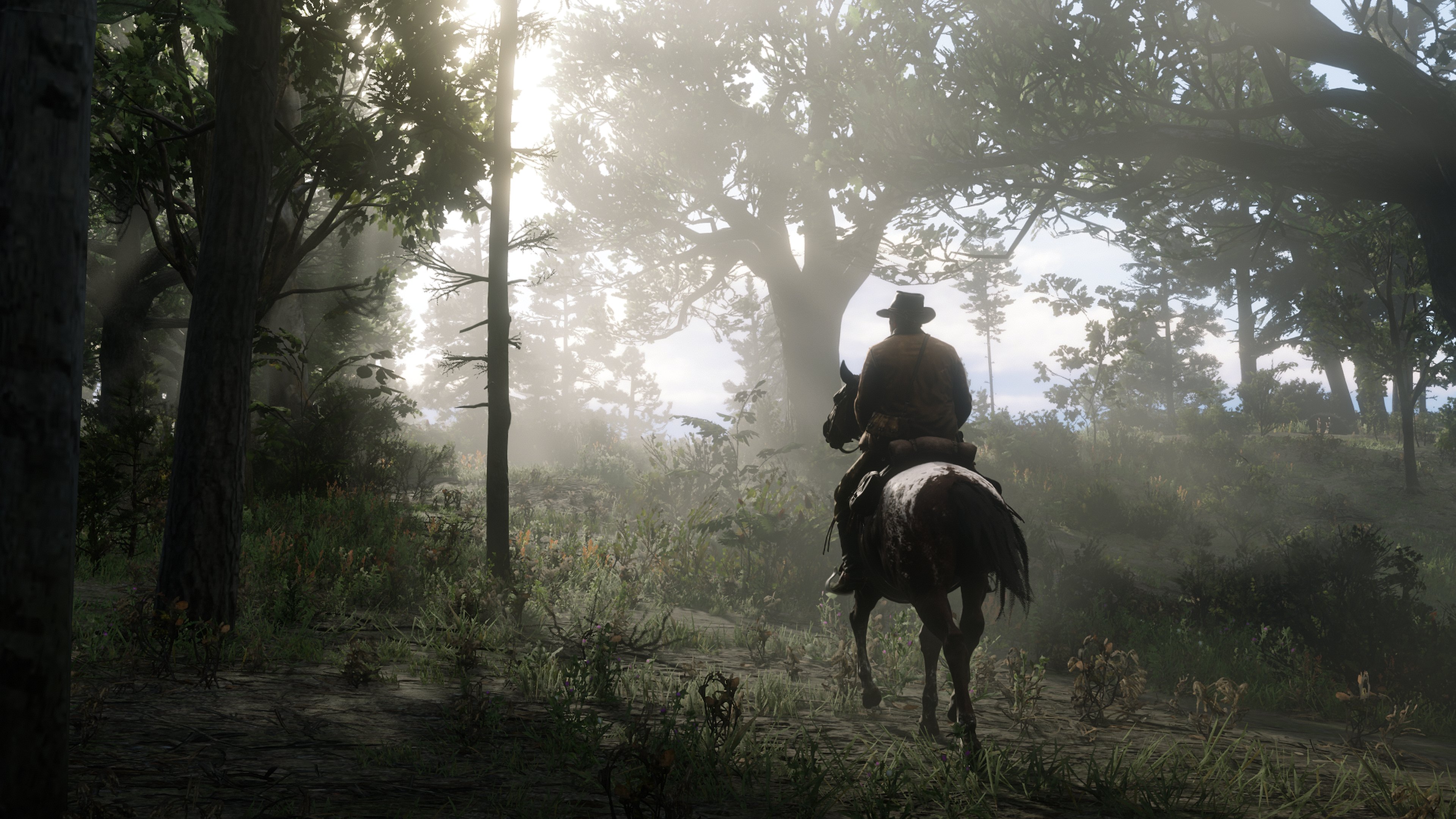 Red Dead Redemption 2, Red Dead Redemption, Red Dead Online, Rockstar Games, Horse. Wallpaper in 3840x2160 Resolution