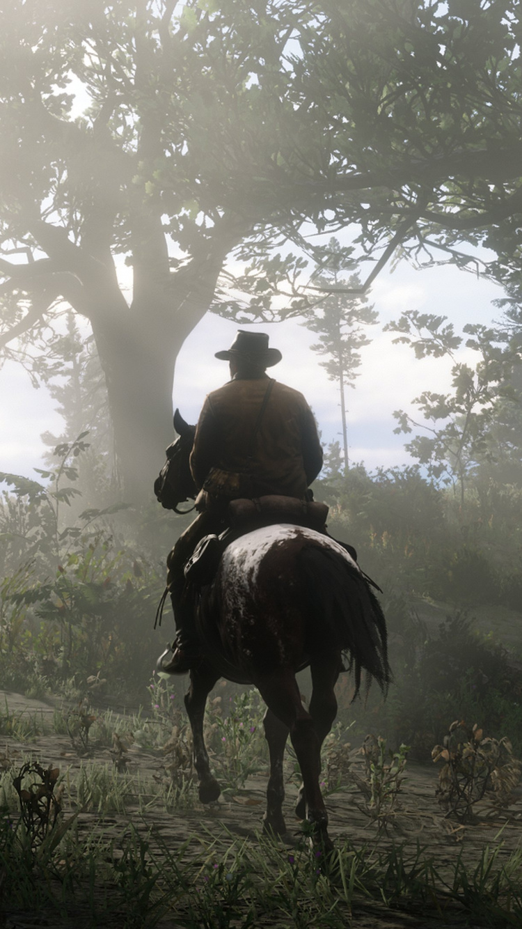 Red Dead Redemption 2, Red Dead Redemption, Red Dead Online, Rockstar Games, Horse. Wallpaper in 750x1334 Resolution