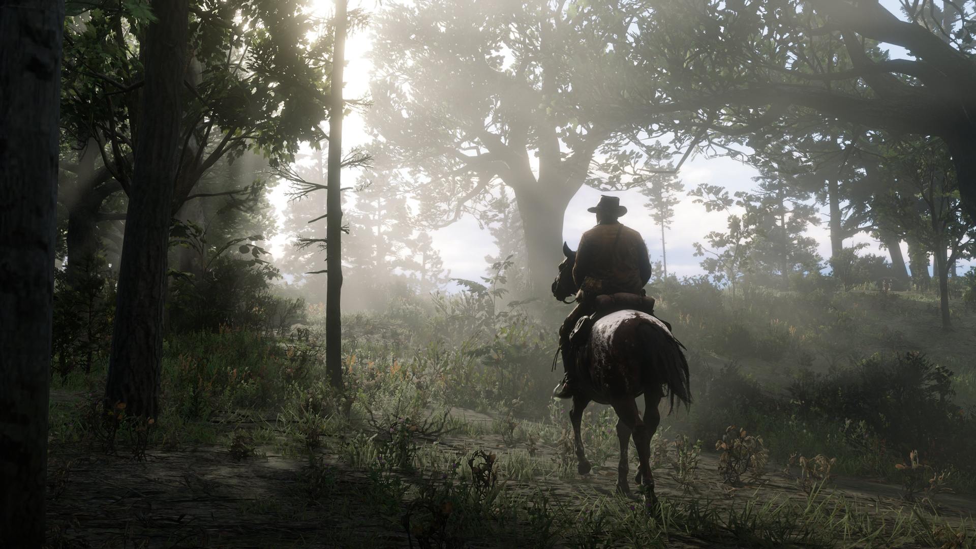 Red Dead Redemption 2, Red Dead Redemption, Red Dead Online, Rockstar Games, Zügel. Wallpaper in 1920x1080 Resolution