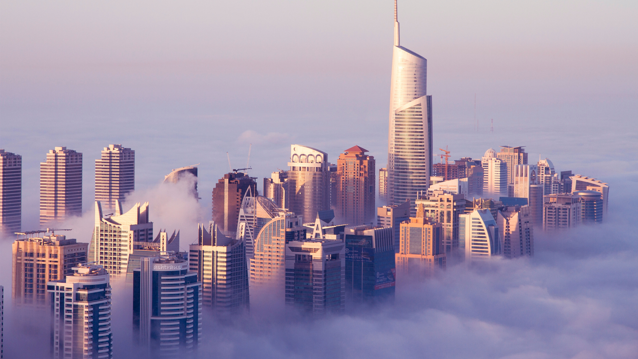 High Rise Buildings Under White Sky During Daytime. Wallpaper in 2560x1440 Resolution