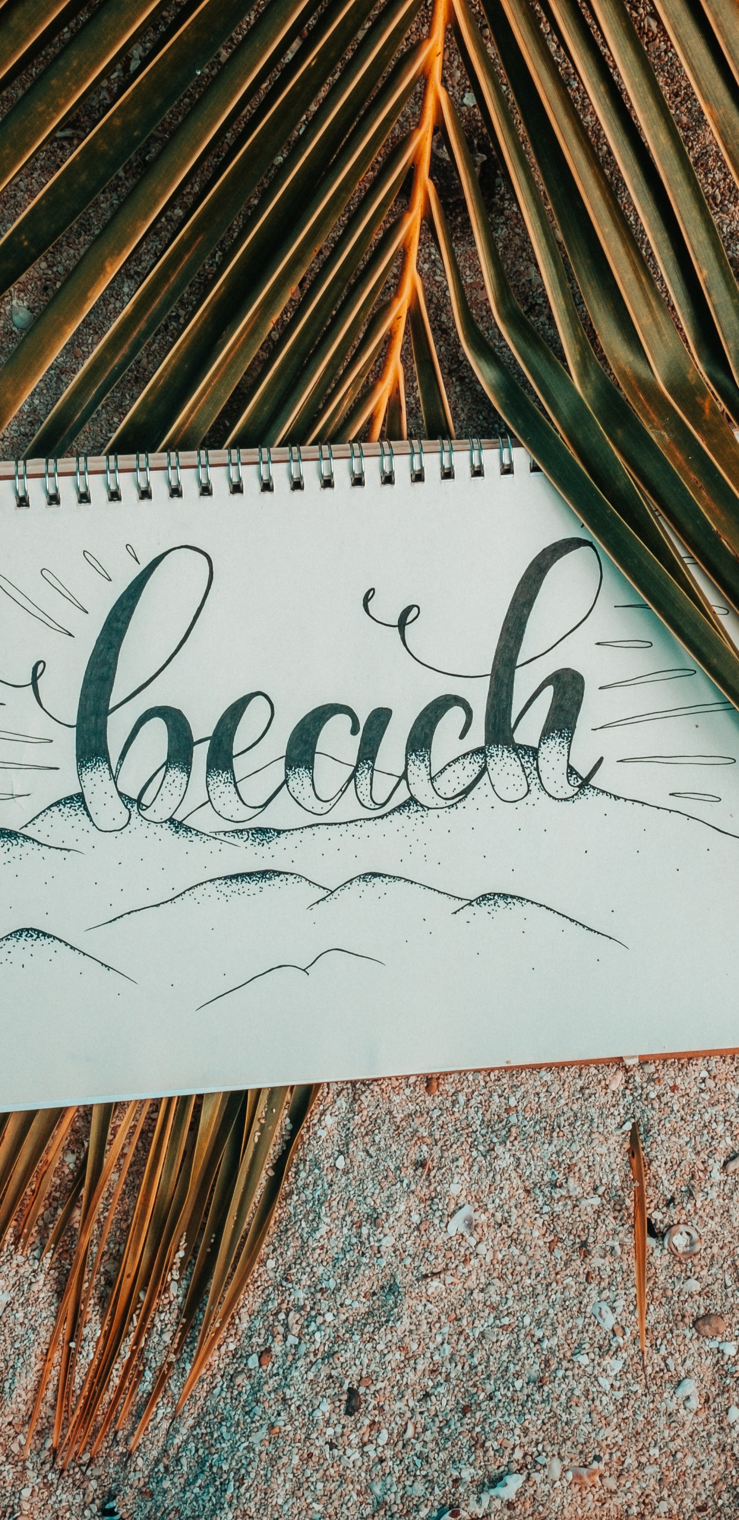 Text. Wallpaper in 1440x2960 Resolution