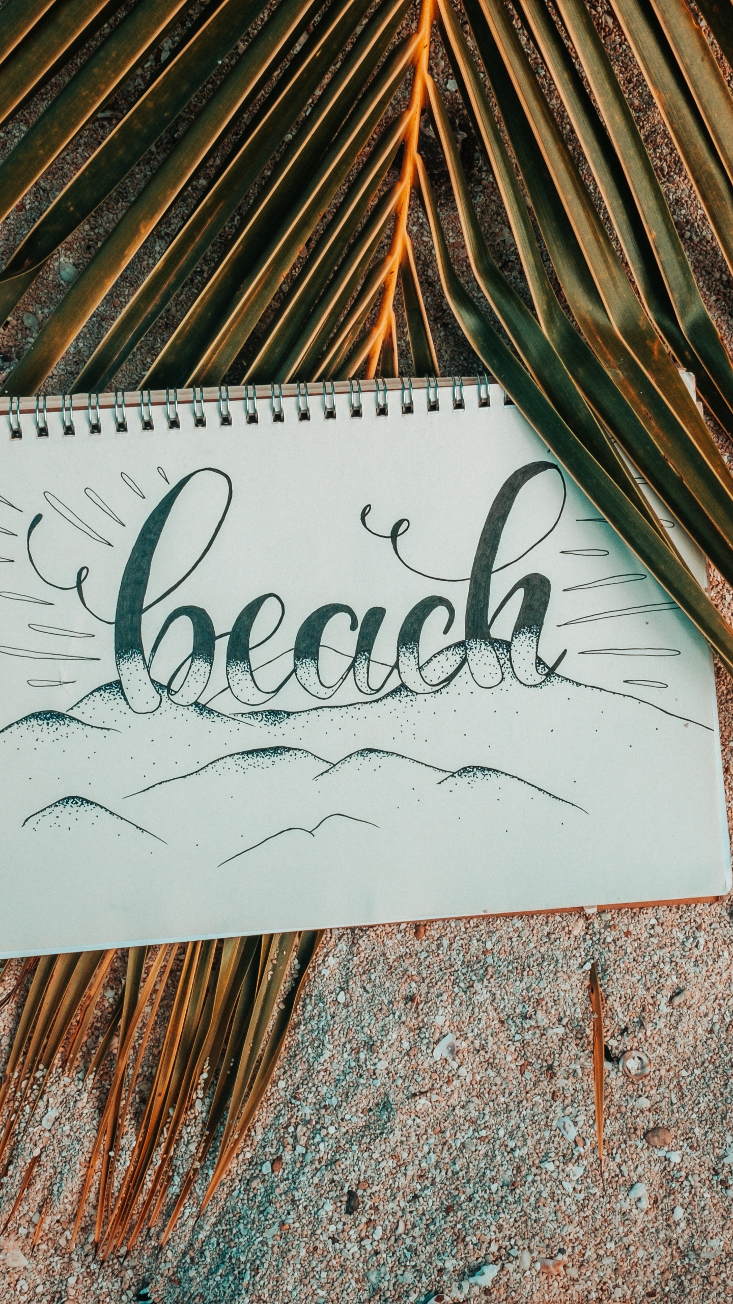 Texte. Wallpaper in 1440x2560 Resolution