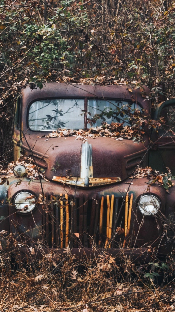 Coche Marrón Vintage Sobre Hojas Secas Marrones. Wallpaper in 720x1280 Resolution