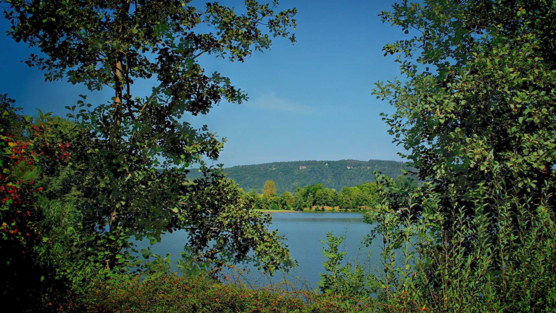 Green Trees Near Lake Under Blue Sky During Daytime. Wallpaper in 1920x1080 Resolution