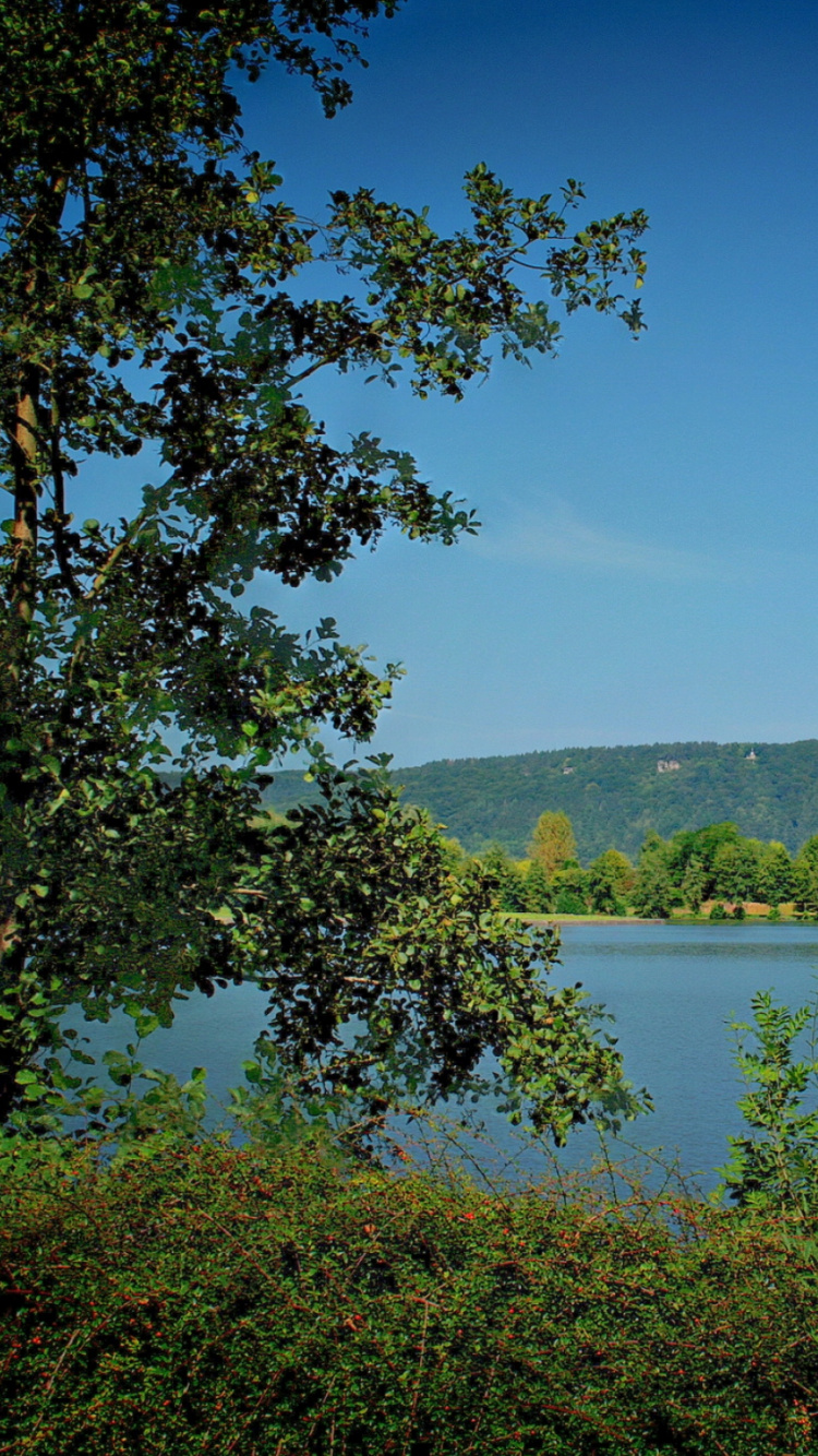 Green Trees Near Lake Under Blue Sky During Daytime. Wallpaper in 750x1334 Resolution