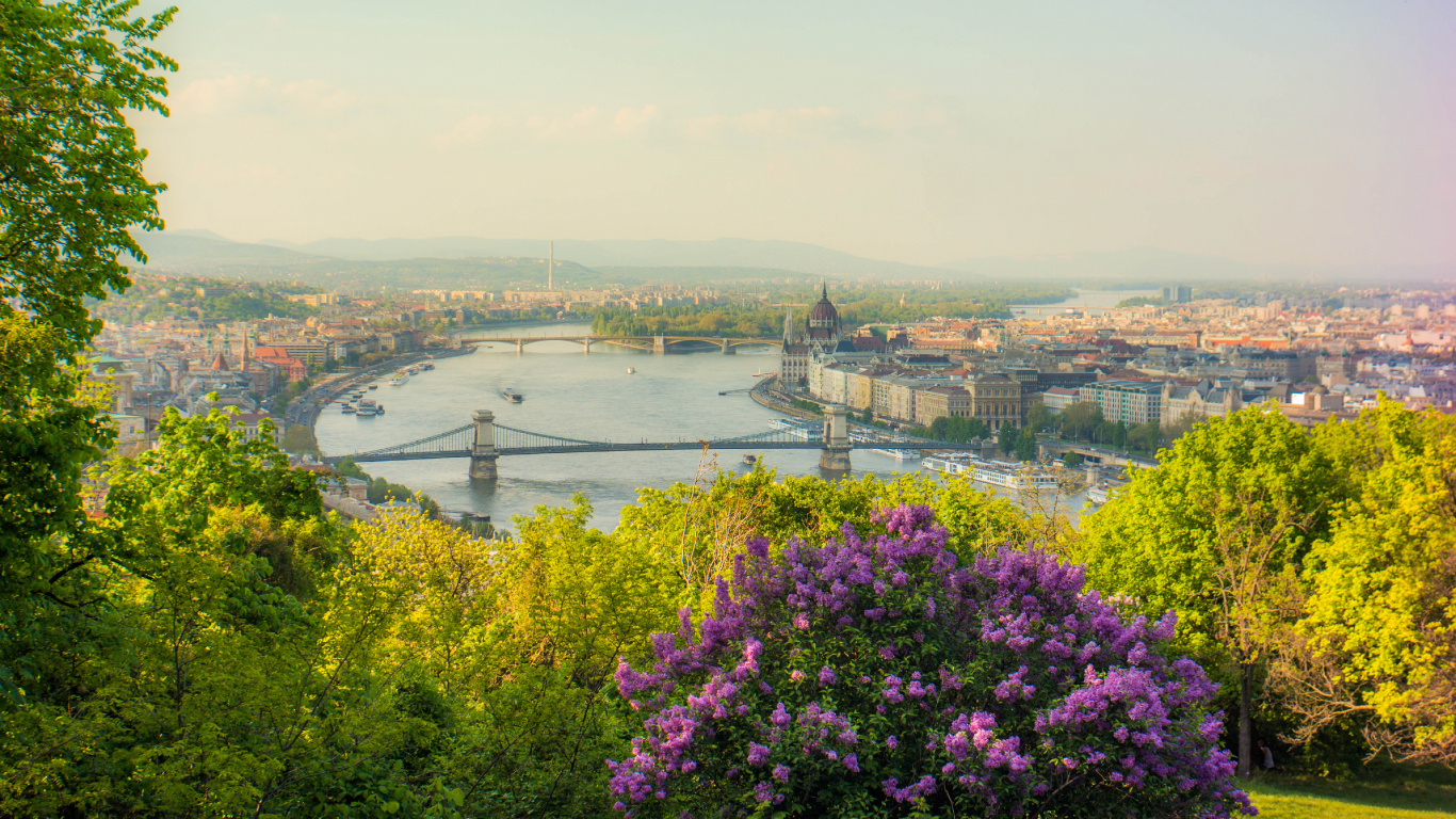 Szchenyi Chain Bridge, Danube River, New York, Greece, Flower. Wallpaper in 1366x768 Resolution