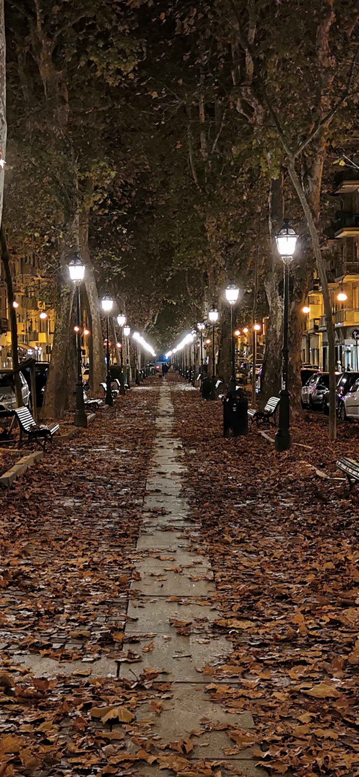 la Luz de Calle, la Superficie de la Carretera, Infraestructura, Iluminación Automotriz, Sucursal. Wallpaper in 1242x2688 Resolution