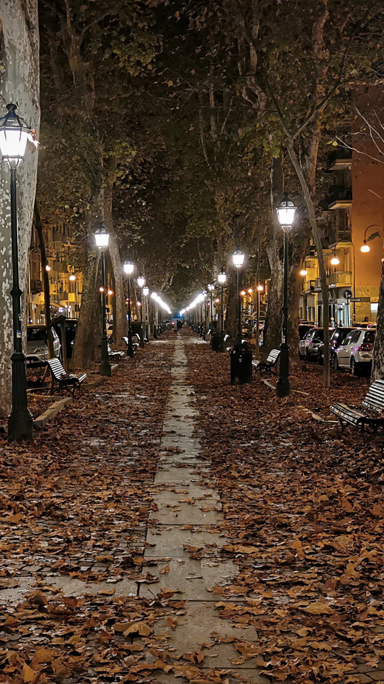 Nacht, Street Light, Fahrbahn, Blatt, Infrastruktur. Wallpaper in 750x1334 Resolution