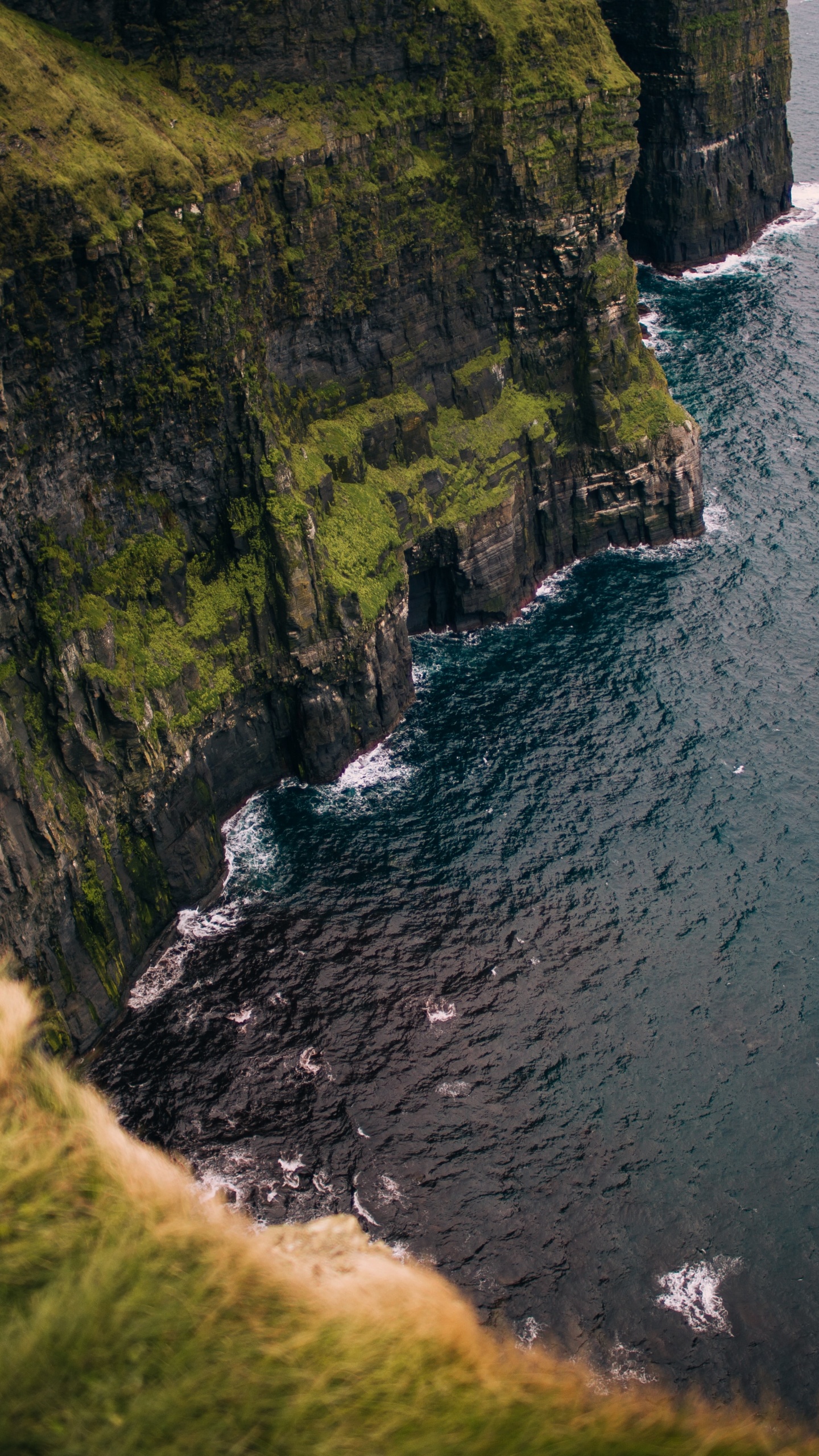 Costa, Acantilados de Moher, Doolín, Lisdoonvarna, Agua. Wallpaper in 1440x2560 Resolution