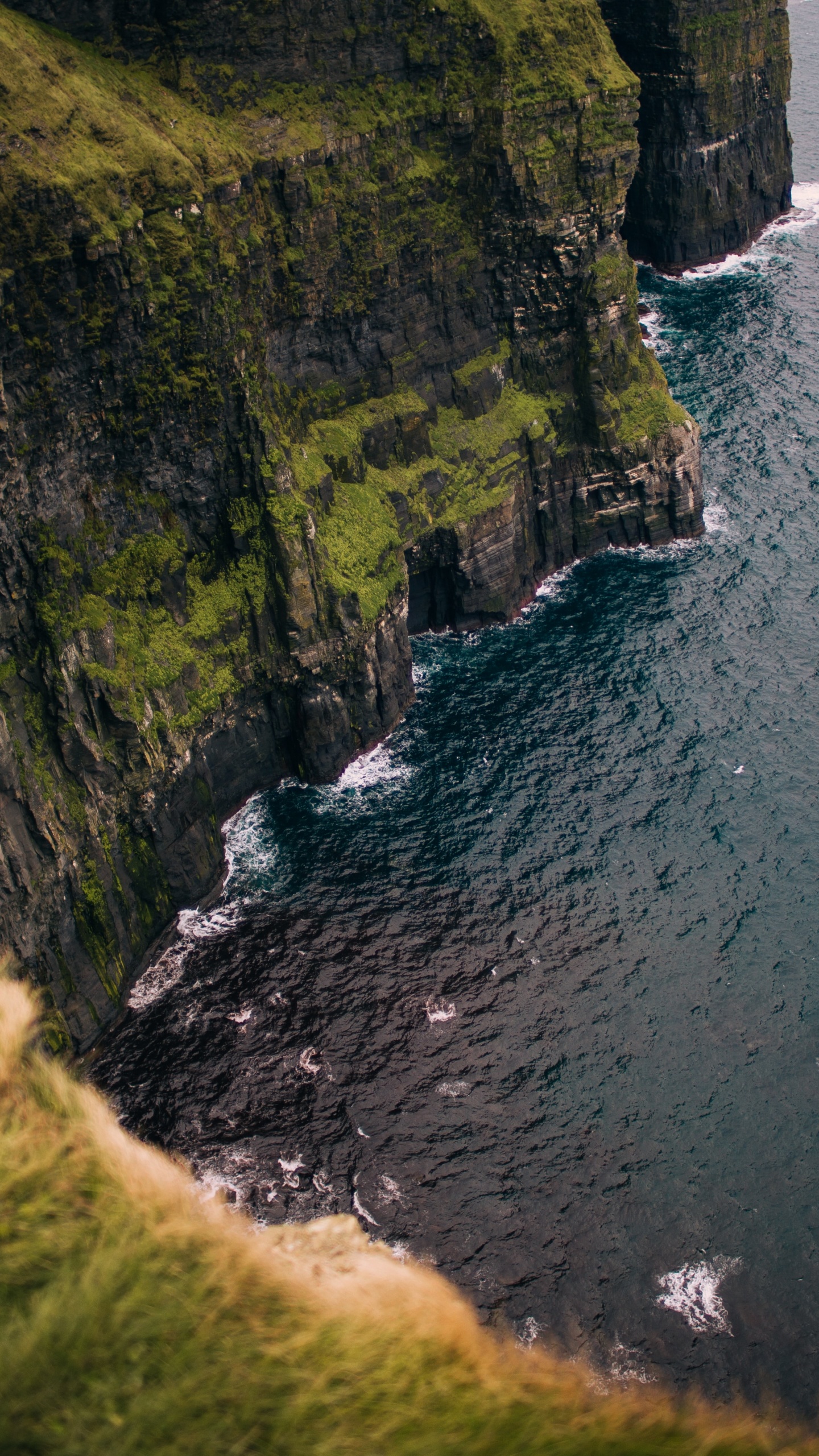 Côte, Falaises de Moher, Doolin, Lisdoonvarna, Eau. Wallpaper in 1440x2560 Resolution