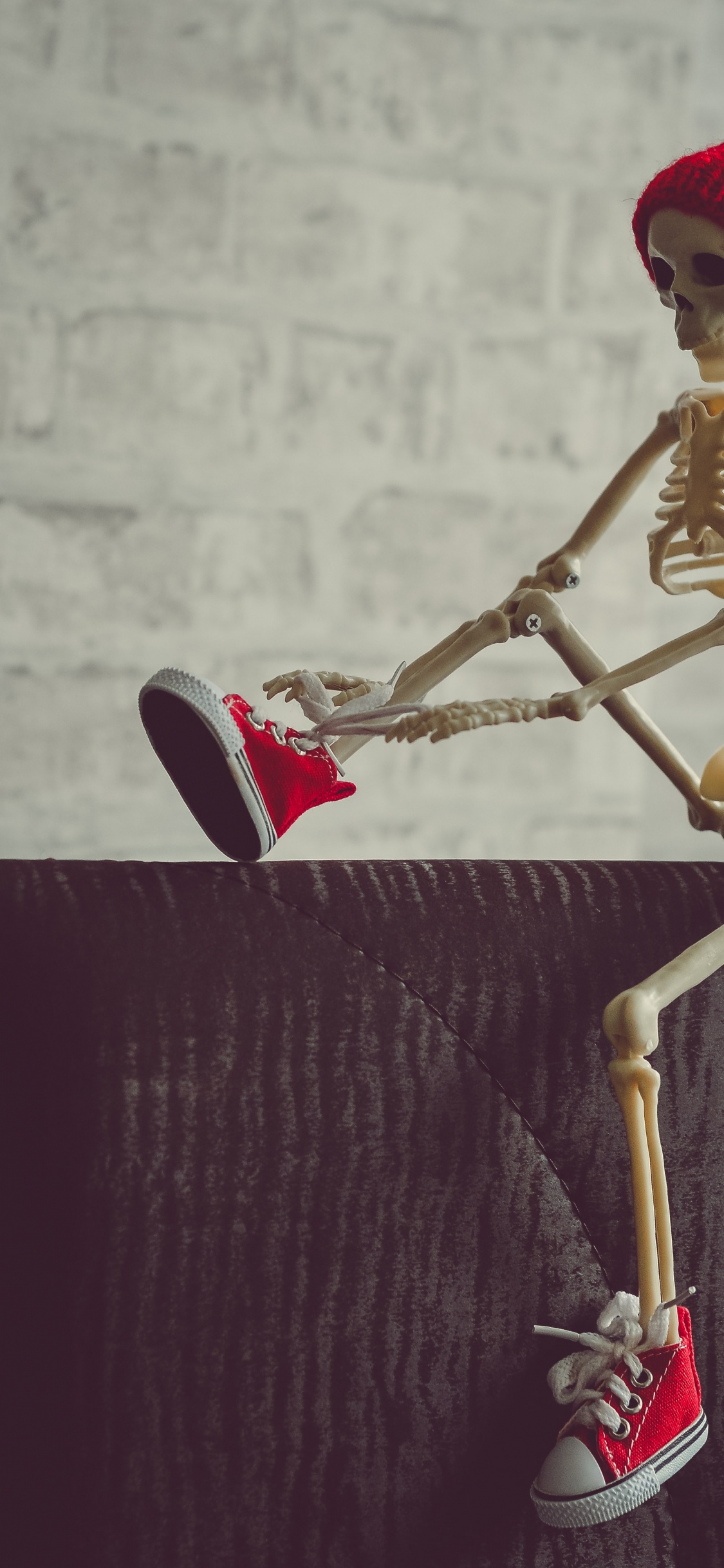 Skeleton, Skeleton Captions for Instagram, Anatomy, Joint, Wood. Wallpaper in 1125x2436 Resolution