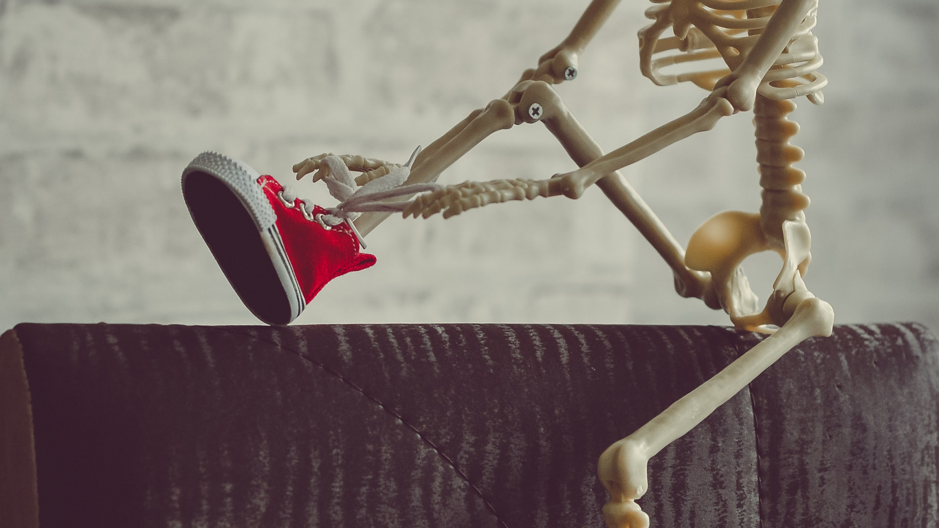 Skeleton, Skeleton Captions for Instagram, Anatomy, Joint, Wood. Wallpaper in 1366x768 Resolution