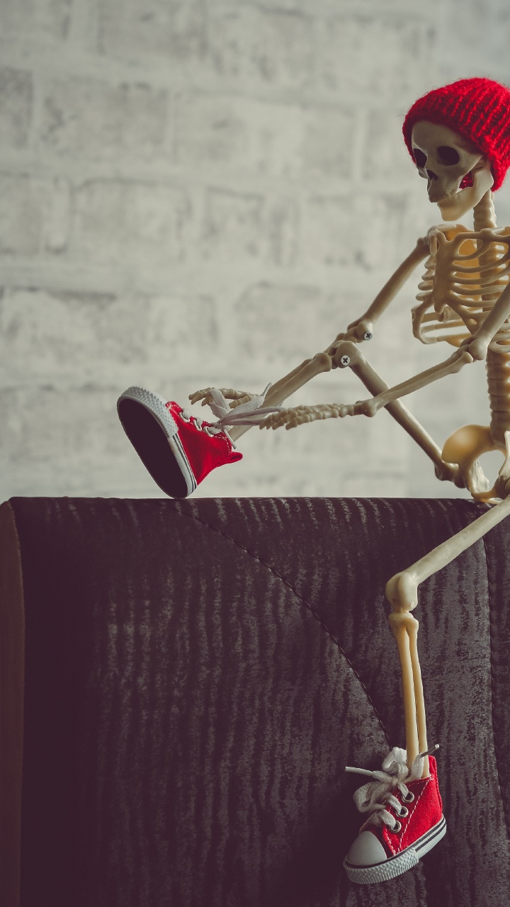 Skeleton, Skeleton Captions for Instagram, Anatomy, Joint, Wood. Wallpaper in 720x1280 Resolution