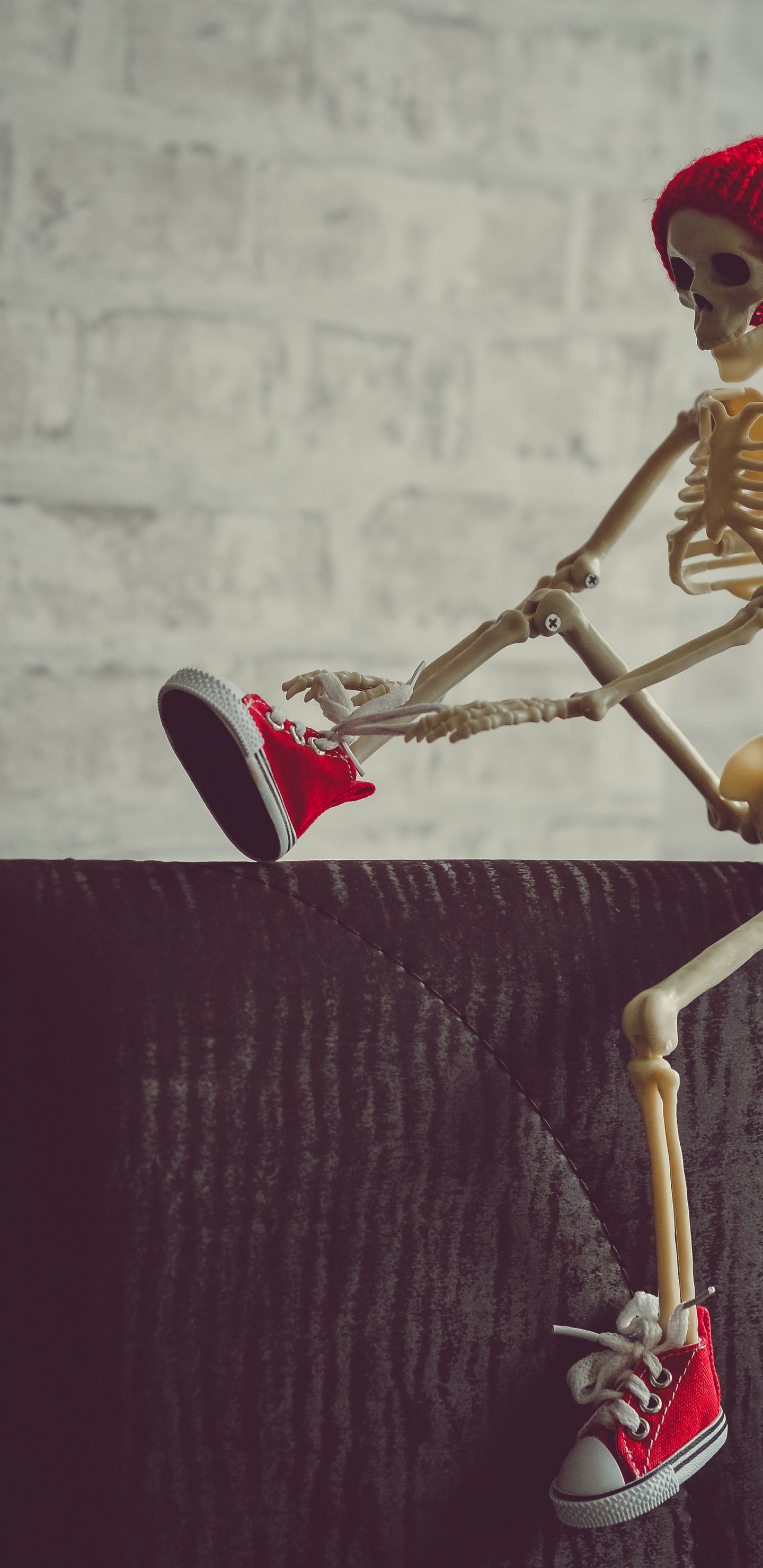 Squelette, Légendes Squelettes Pour Instagram, Anatomie, Conjoint, Art. Wallpaper in 1440x2960 Resolution