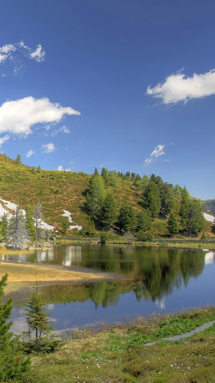 Árboles Verdes Cerca Del Lago Bajo un Cielo Azul Durante el Día. Wallpaper in 720x1280 Resolution