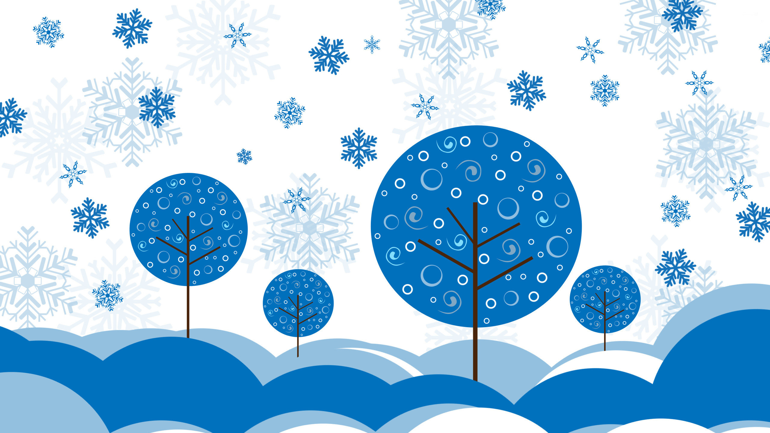 Blue and White Floral Design. Wallpaper in 2560x1440 Resolution