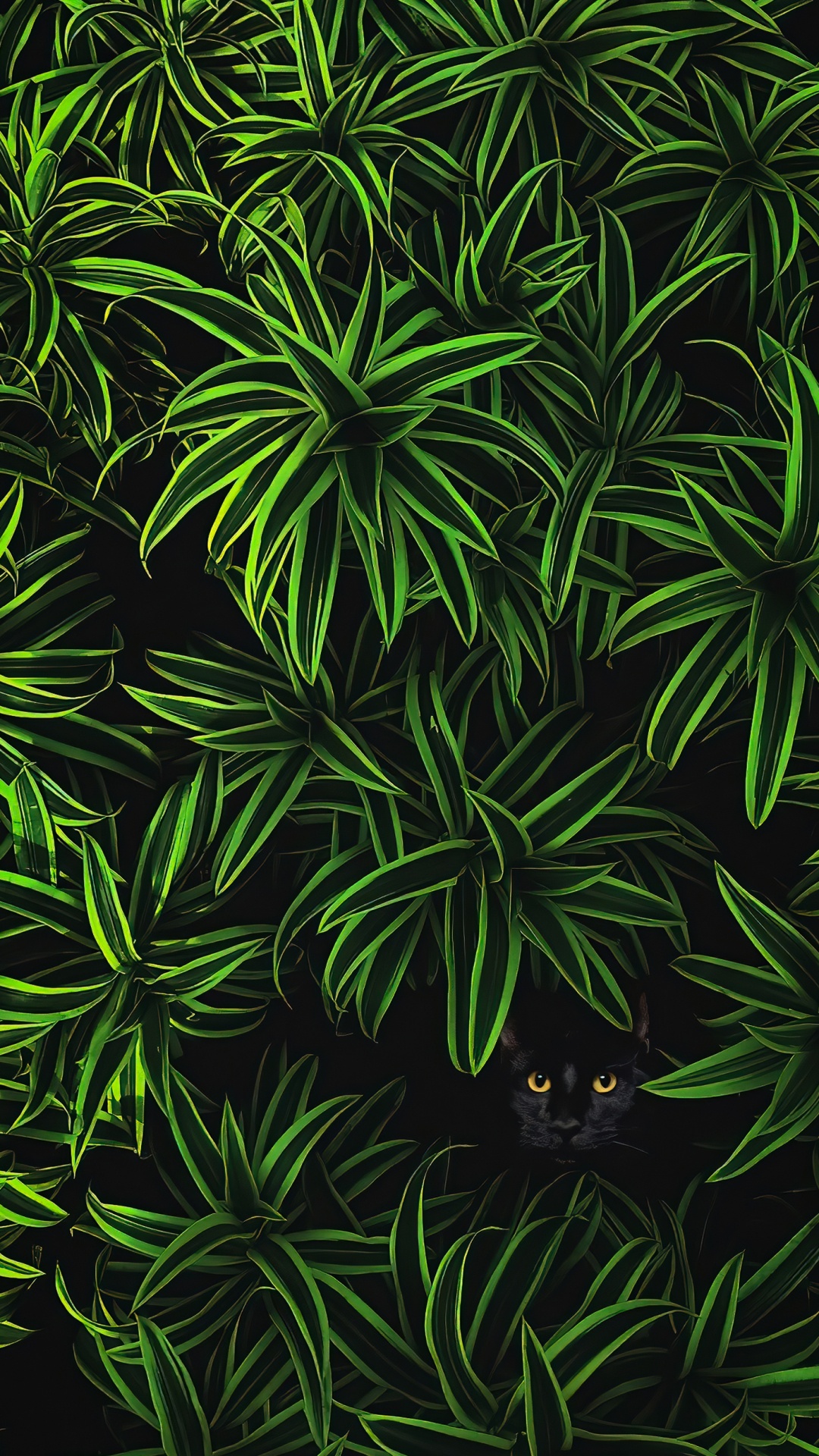 la Vegetación, la Botánica, Planta Terrestre, la Cubierta Vegetal, la Floración de la Planta. Wallpaper in 1080x1920 Resolution