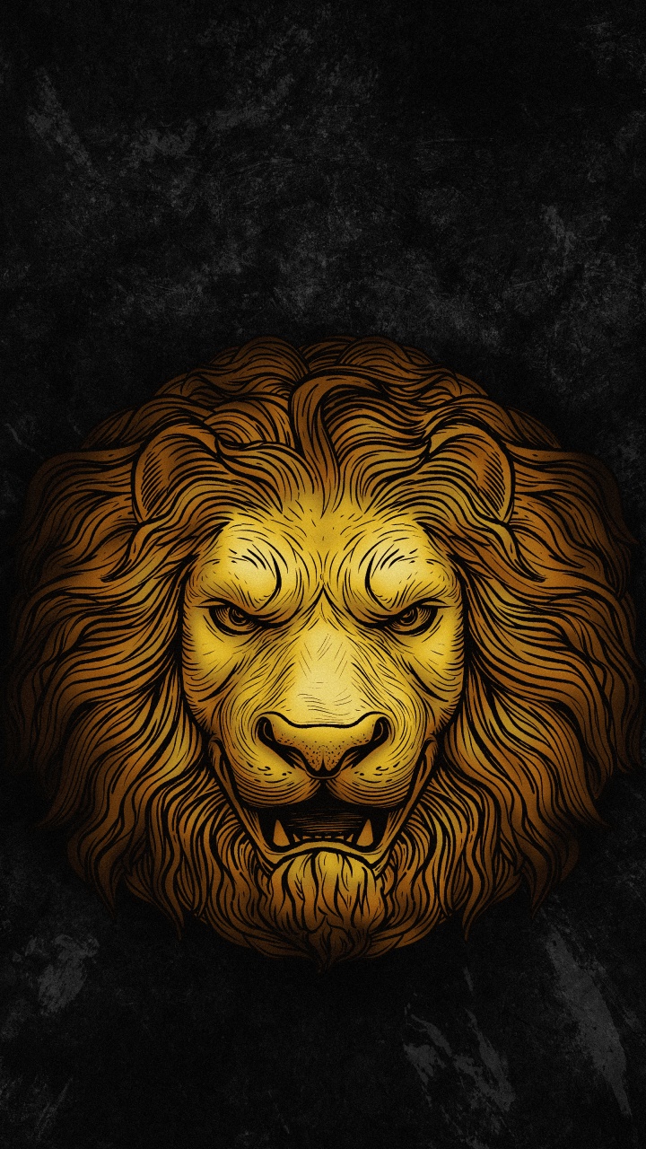 Cabeza, Leones, Artes Visuales, Los Carnívoros, Felidae. Wallpaper in 720x1280 Resolution