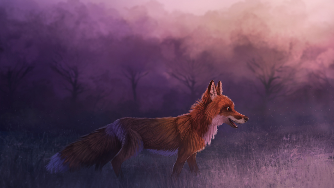 Brown Fox on White Grass Field. Wallpaper in 1280x720 Resolution