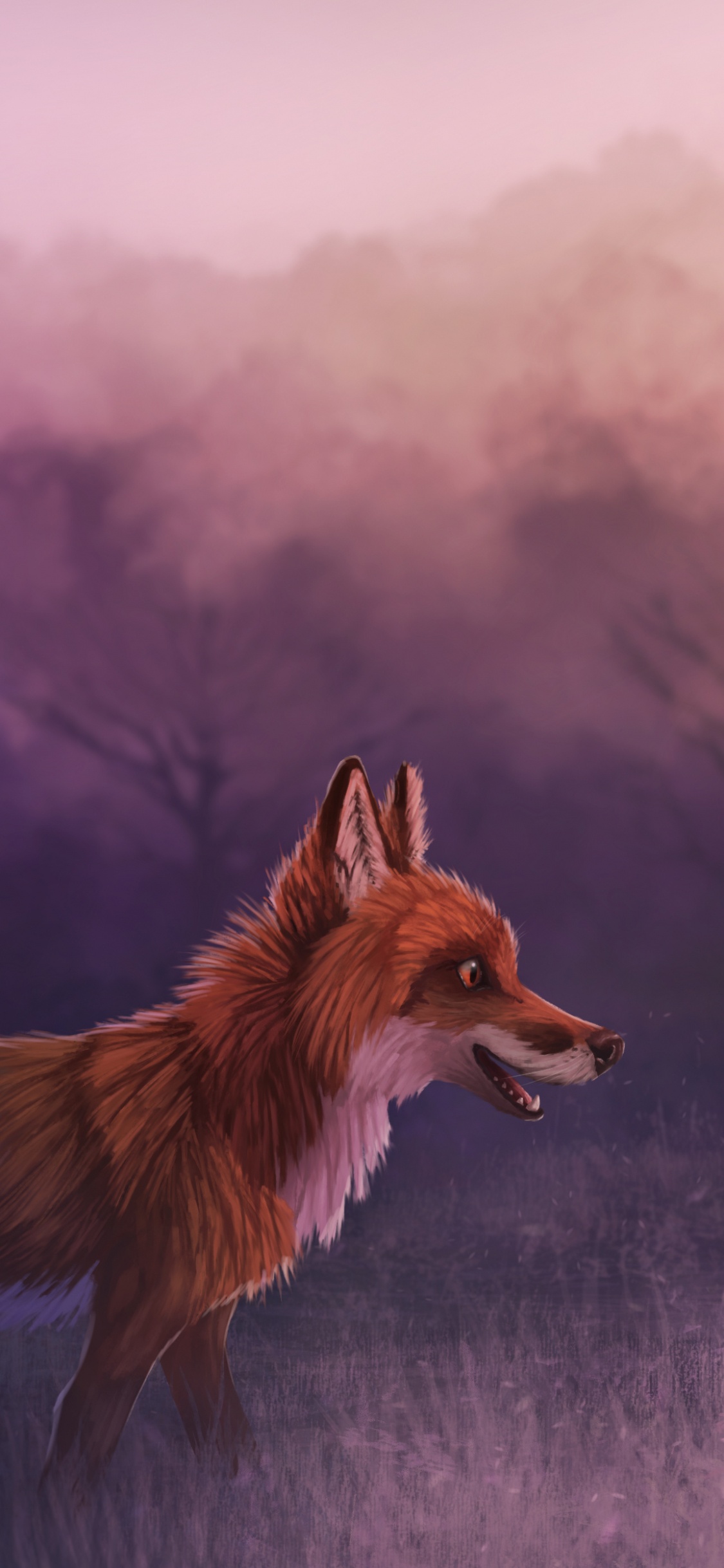 Brauner Fuchs Auf Weißer Wiese. Wallpaper in 1125x2436 Resolution