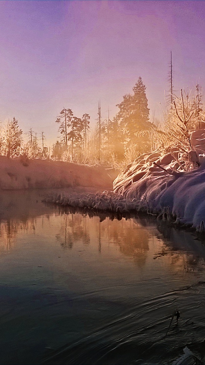 Snow Covered Field and Trees During Daytime. Wallpaper in 720x1280 Resolution