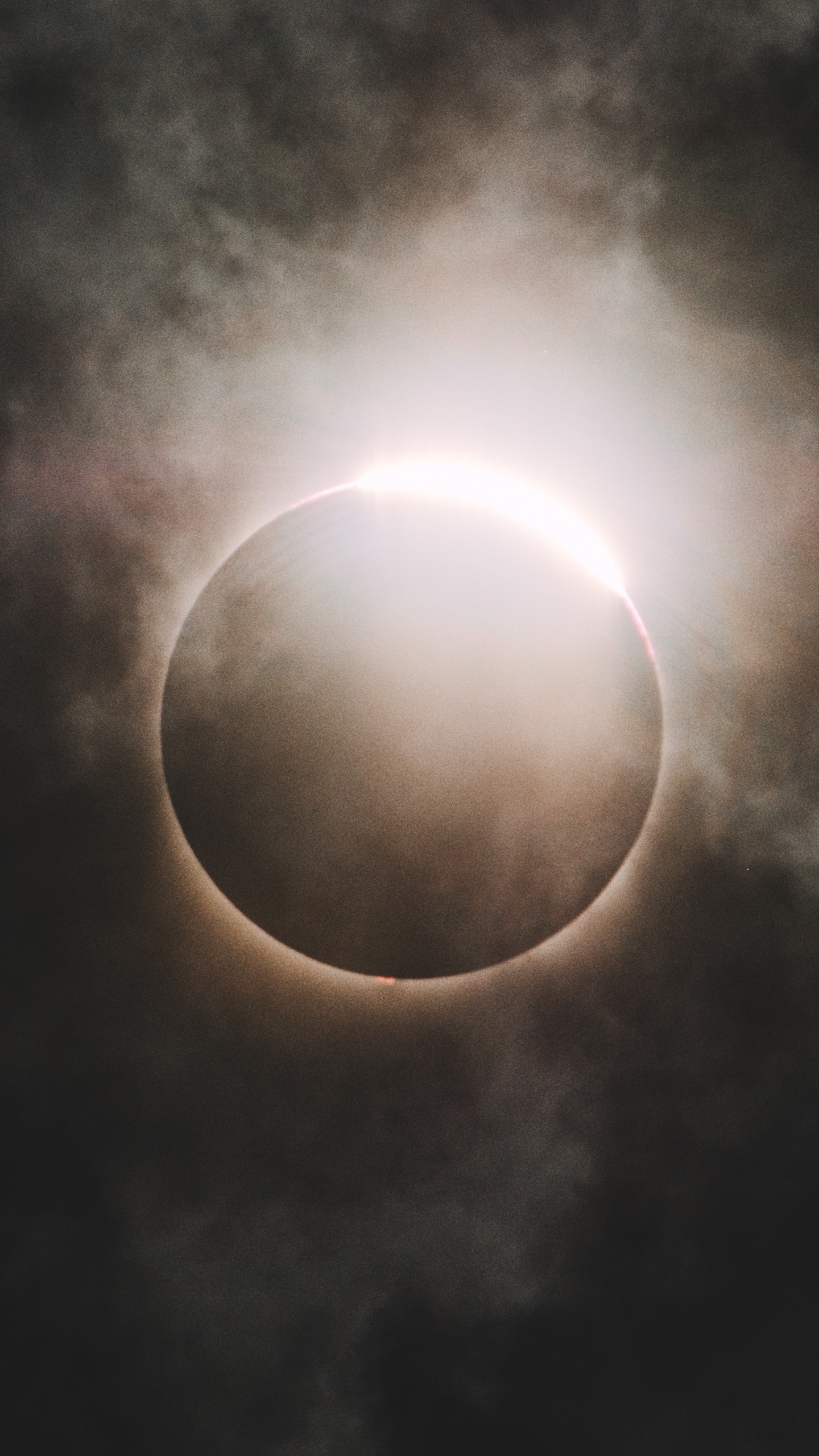 Full Moon in The Sky. Wallpaper in 1440x2560 Resolution