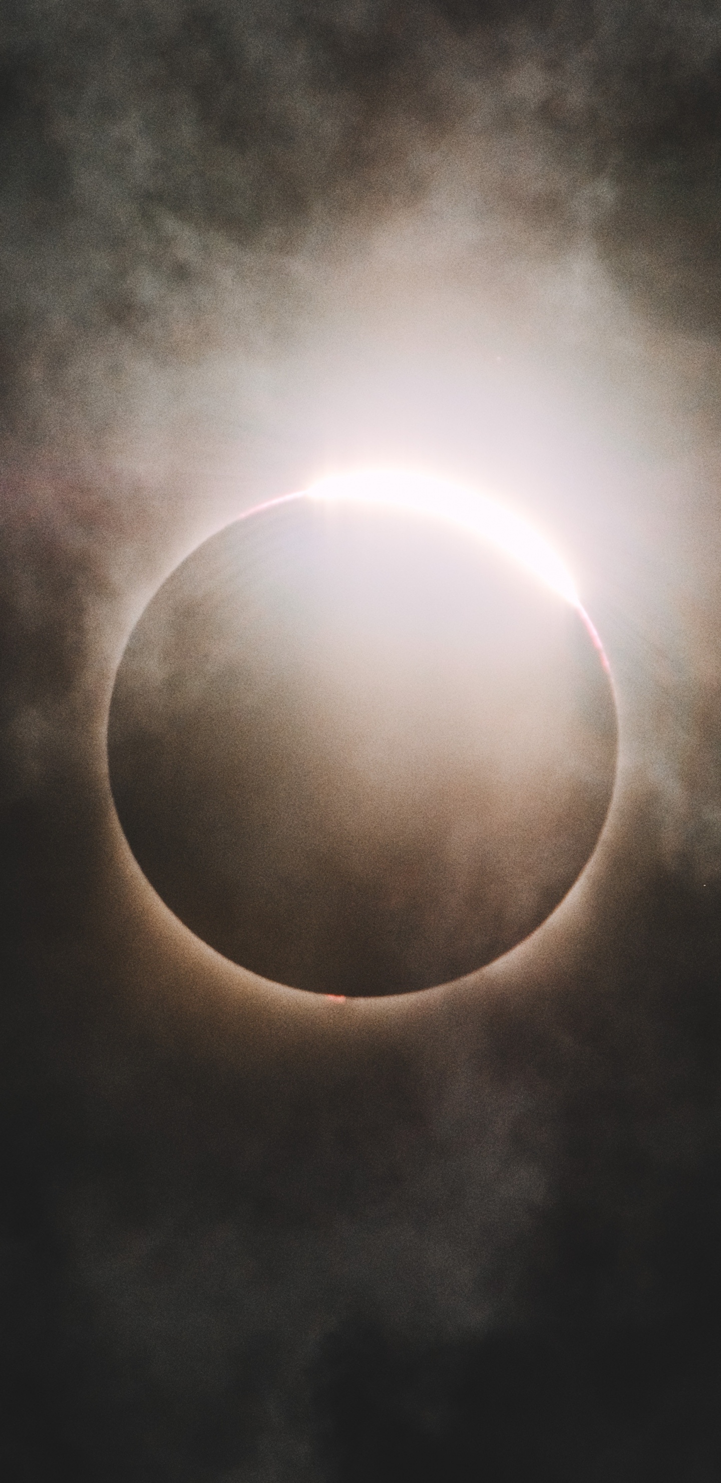 Pleine Lune Dans le Ciel. Wallpaper in 1440x2960 Resolution