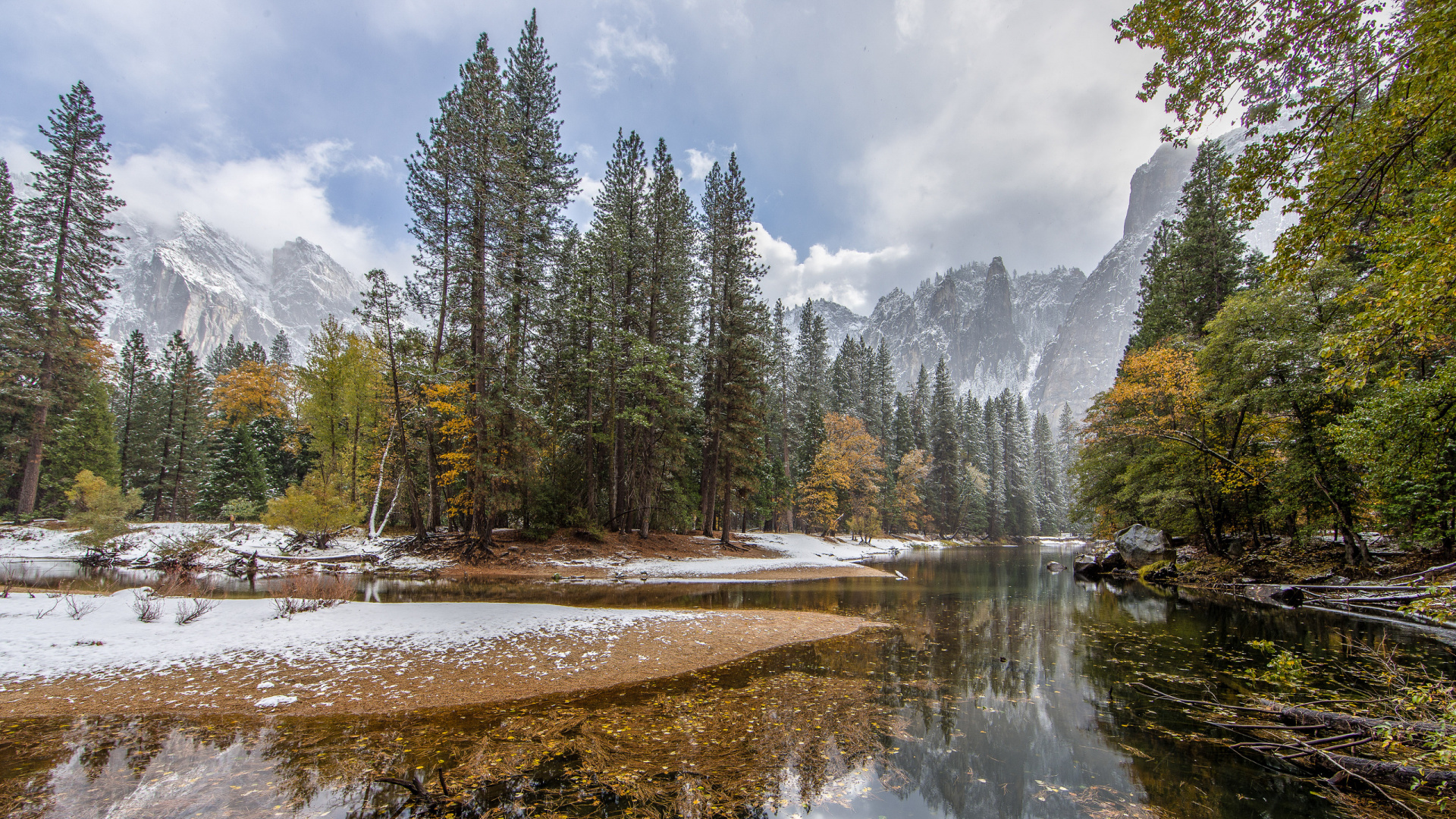 Green Trees Near River During Daytime. Wallpaper in 1920x1080 Resolution