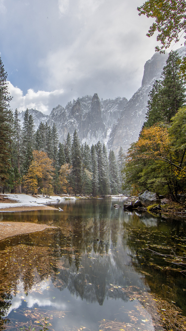 Green Trees Near River During Daytime. Wallpaper in 750x1334 Resolution