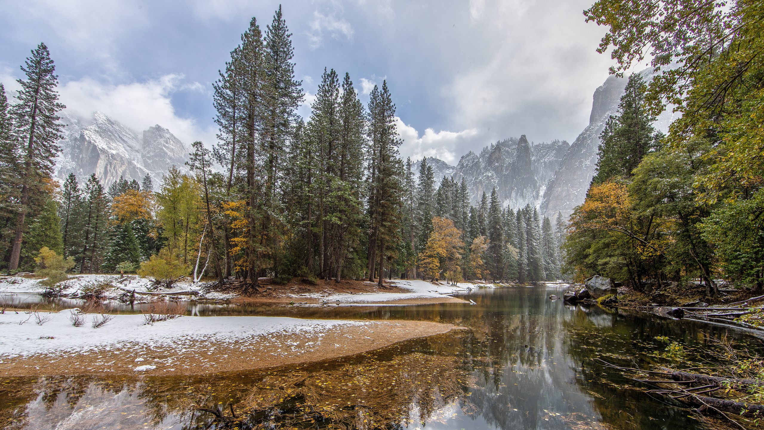 性质, 反射, 荒野, 自然保护区, 木本植物 壁纸 2560x1440 允许