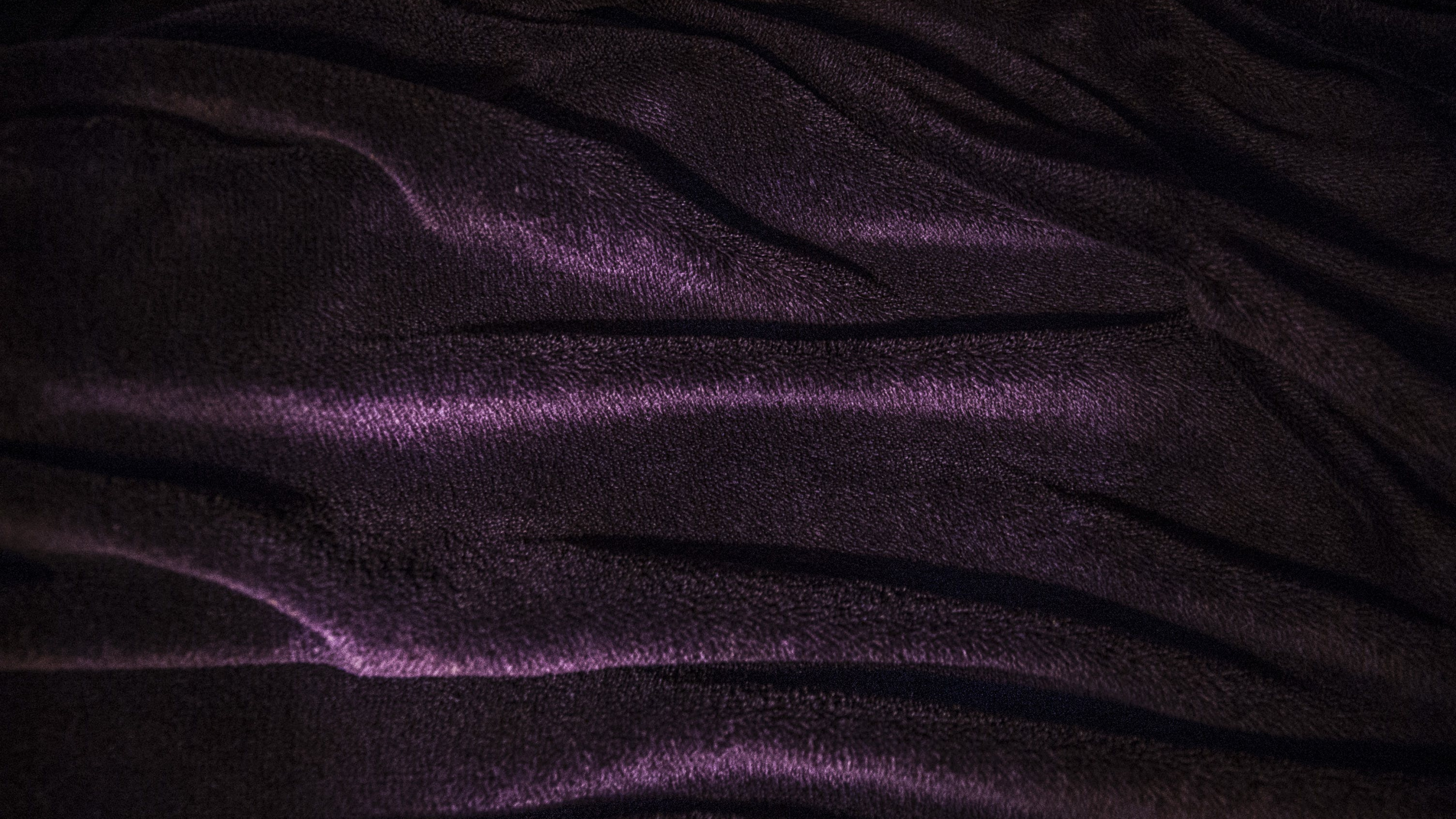 Textile Violet en Gros Plan Image. Wallpaper in 2560x1440 Resolution