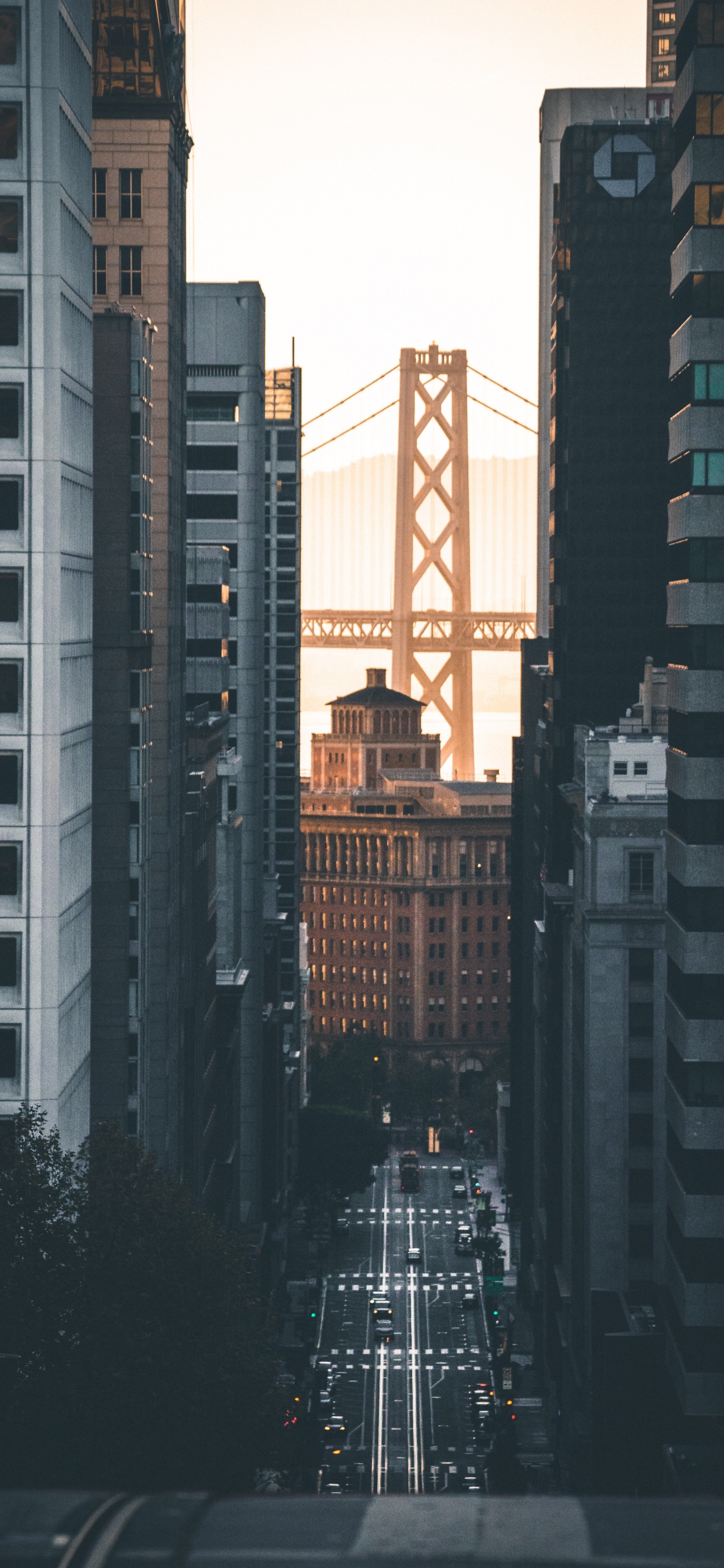 Edificio de Hormigón Gris Durante la Noche. Wallpaper in 1242x2688 Resolution