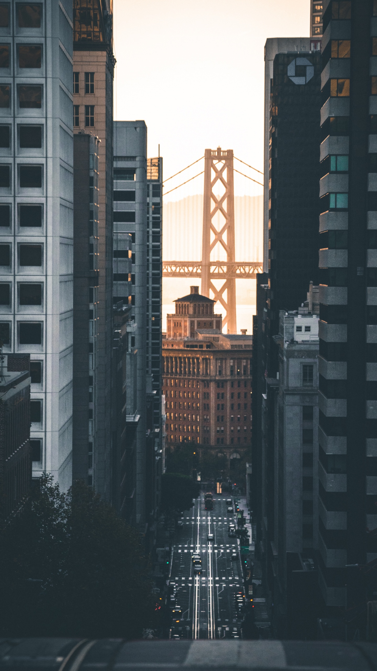 Bâtiment en Béton Gris Pendant la Nuit. Wallpaper in 1440x2560 Resolution