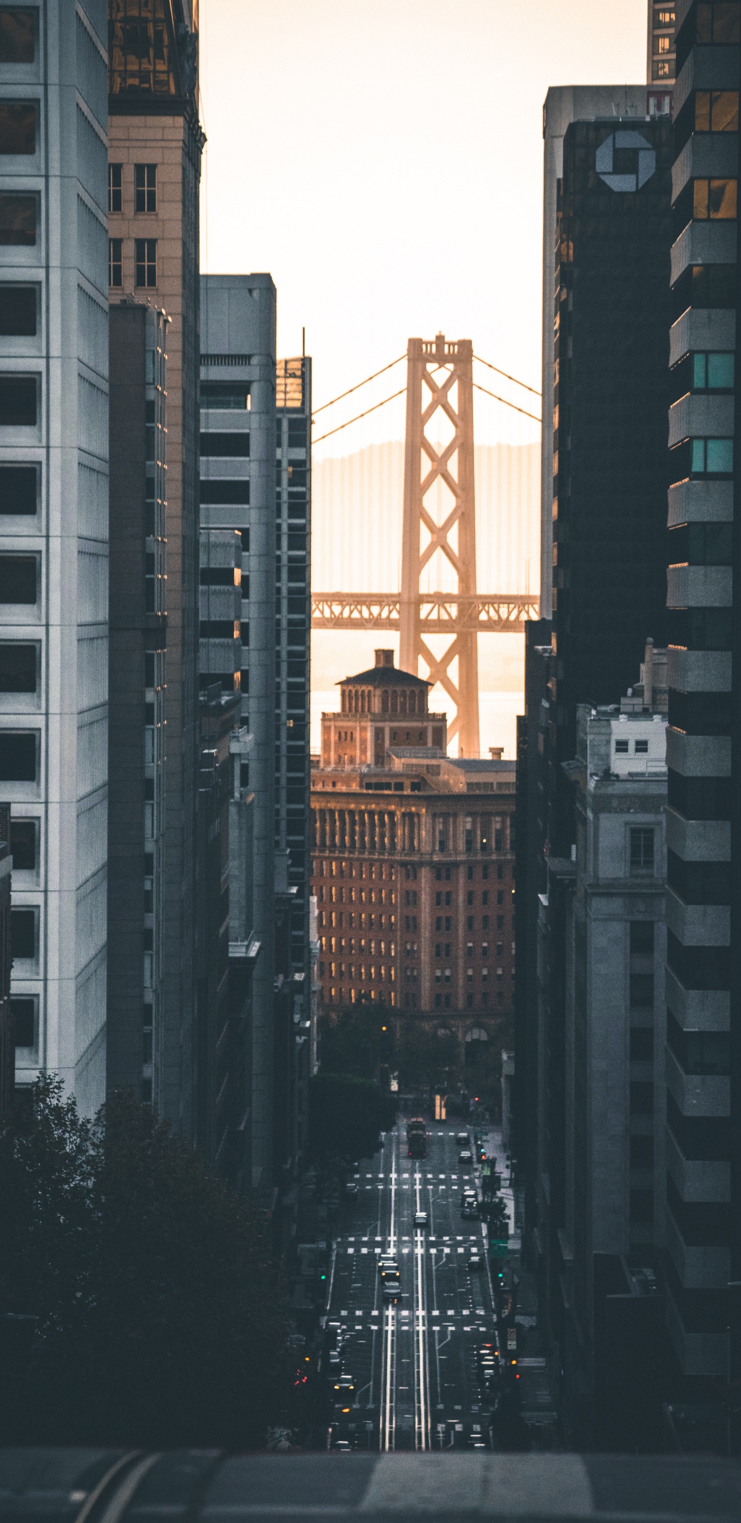 Bâtiment en Béton Gris Pendant la Nuit. Wallpaper in 1440x2960 Resolution