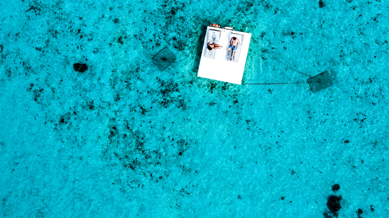 Water, Biology, Marine Biology, Blue, Green. Wallpaper in 1280x720 Resolution