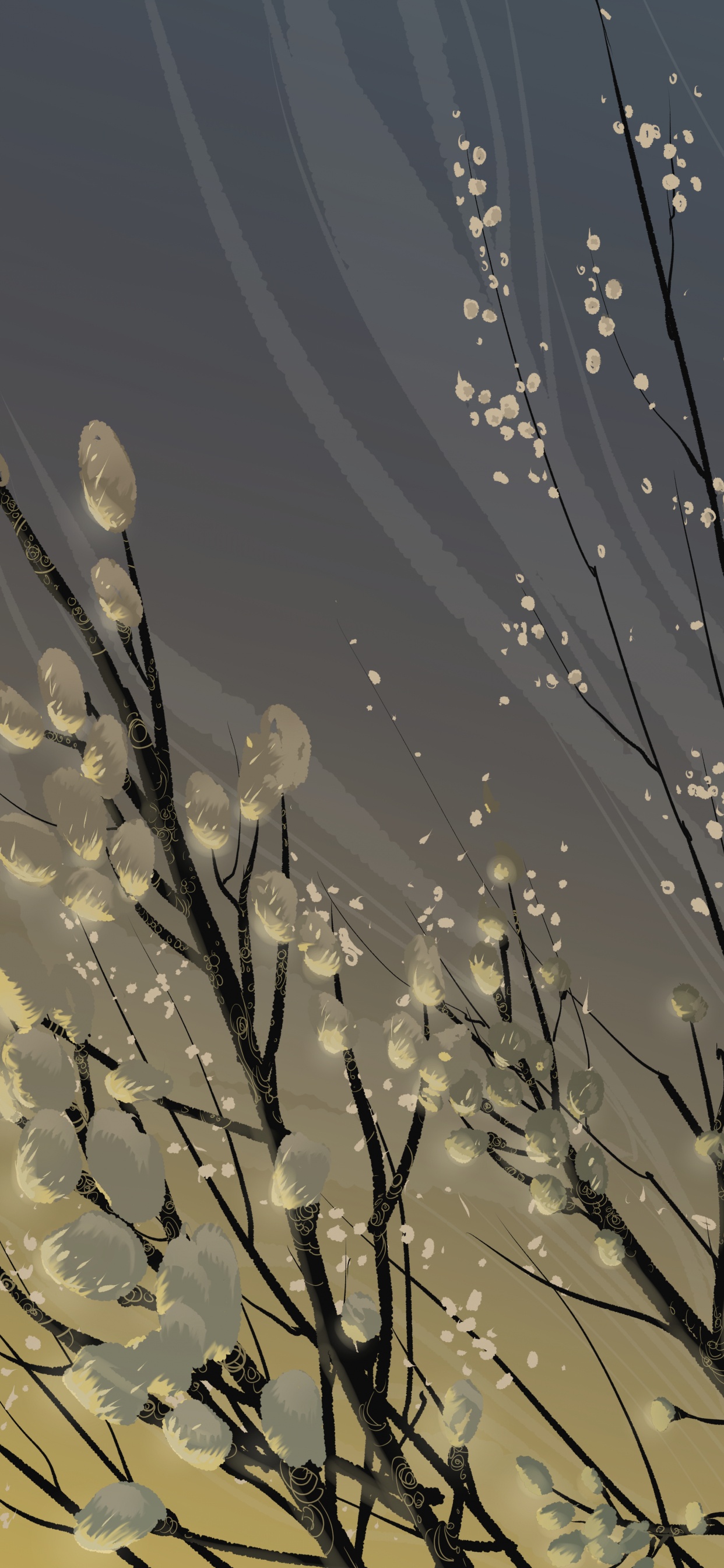 Flores Blancas Con Gotas de Agua. Wallpaper in 1242x2688 Resolution