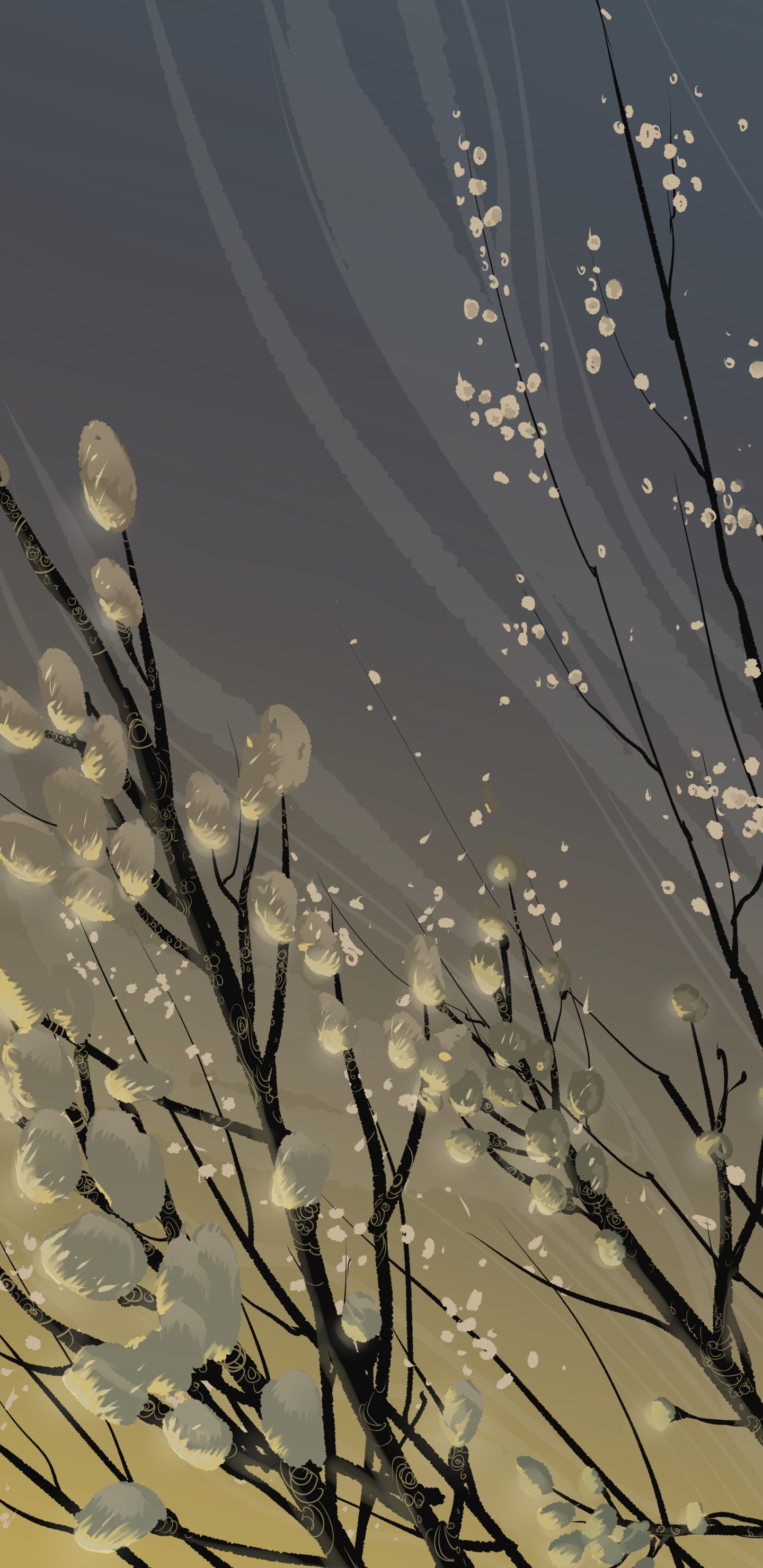 Flores Blancas Con Gotas de Agua. Wallpaper in 1440x2960 Resolution