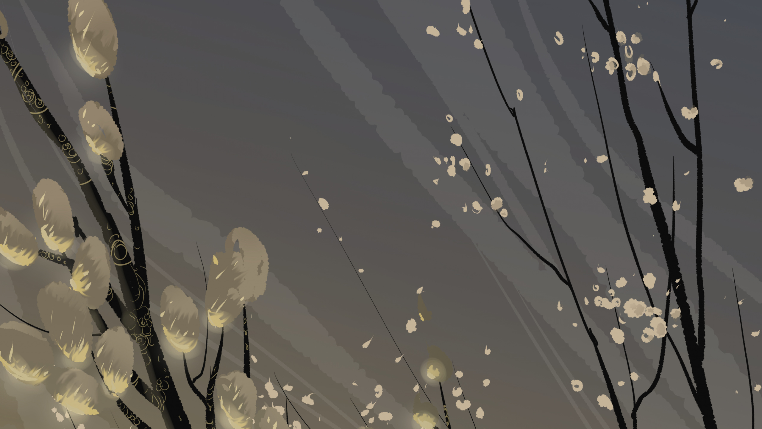 Flores Blancas Con Gotas de Agua. Wallpaper in 2560x1440 Resolution