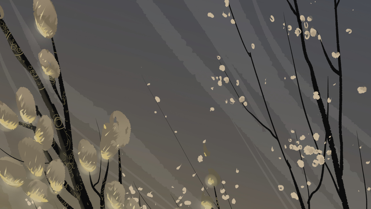 Fleurs Blanches Avec Des Gouttelettes D'eau. Wallpaper in 1280x720 Resolution